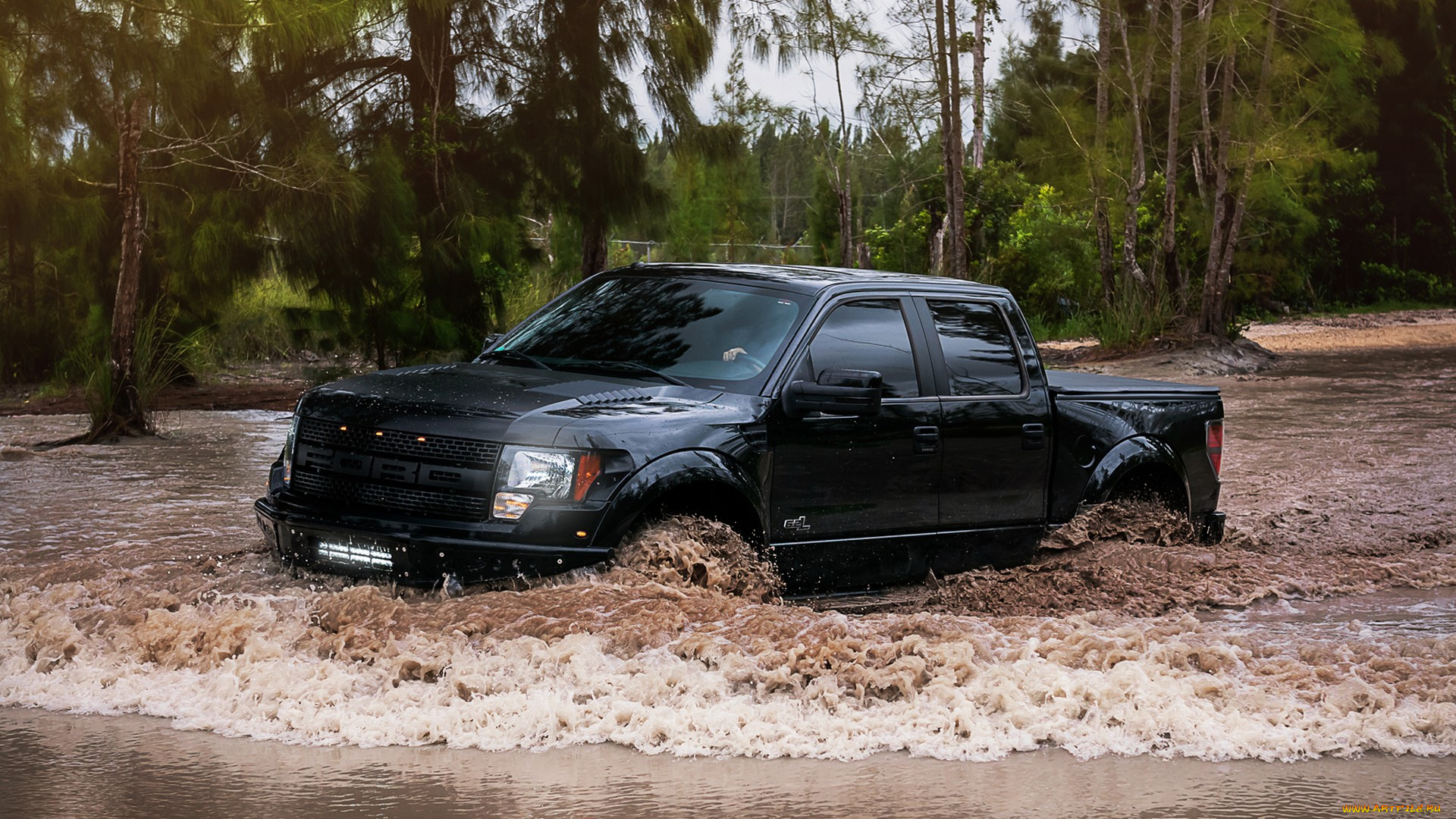 ford, автомобили, паводок, река, авто