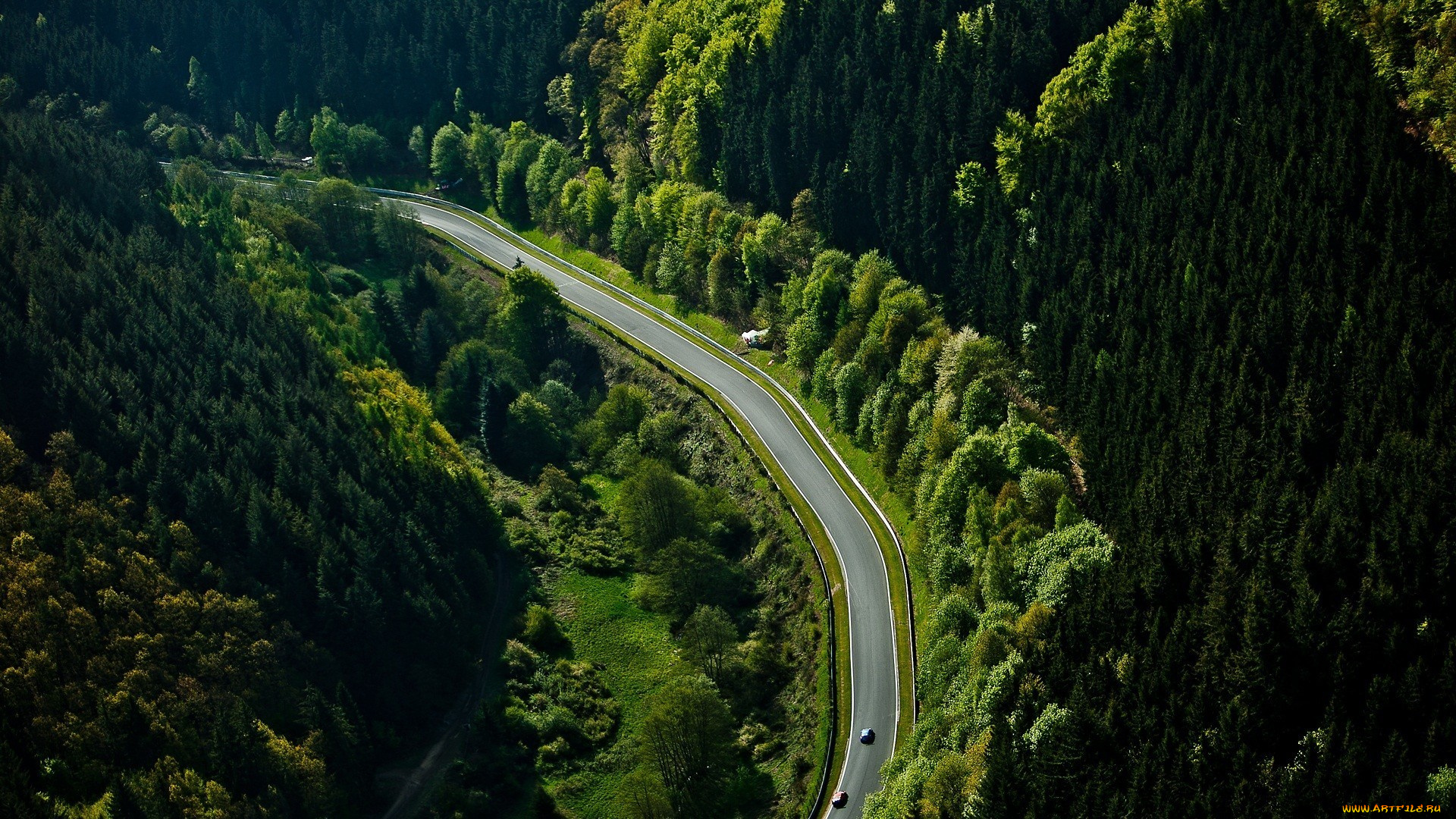 природа, дороги, nurburgring, трасса, лес, автомобили