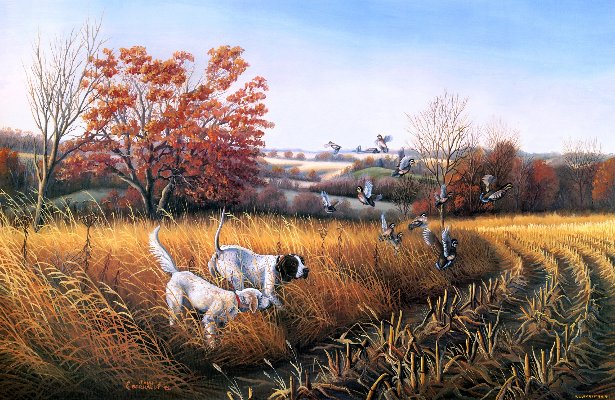 bird, dog, country, рисованные, john, eberhardt, утки, осень, охота, собаки