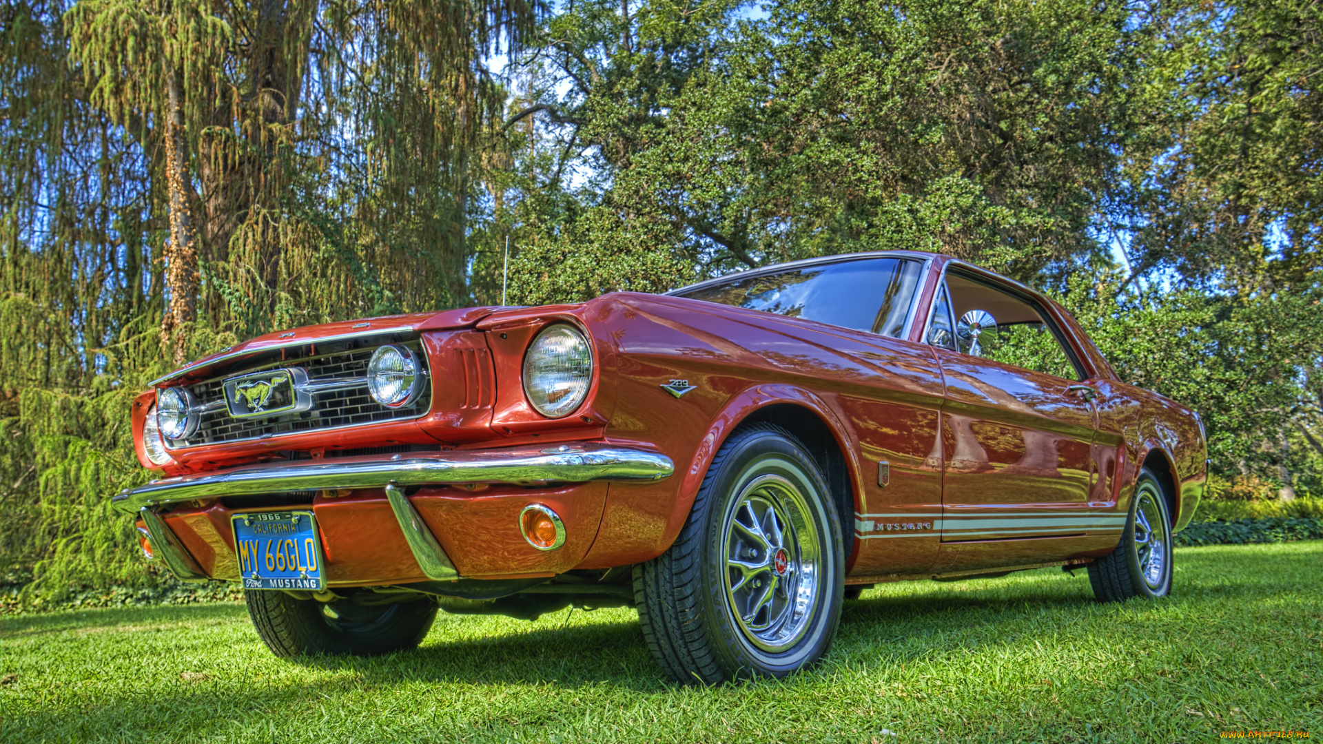 mustang, автомобили, автошоу, выставка