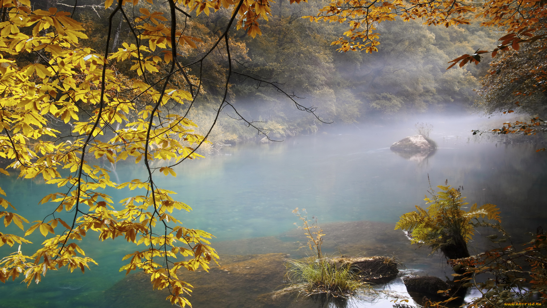 природа, реки, озера, туман, река, осень, листва, лес