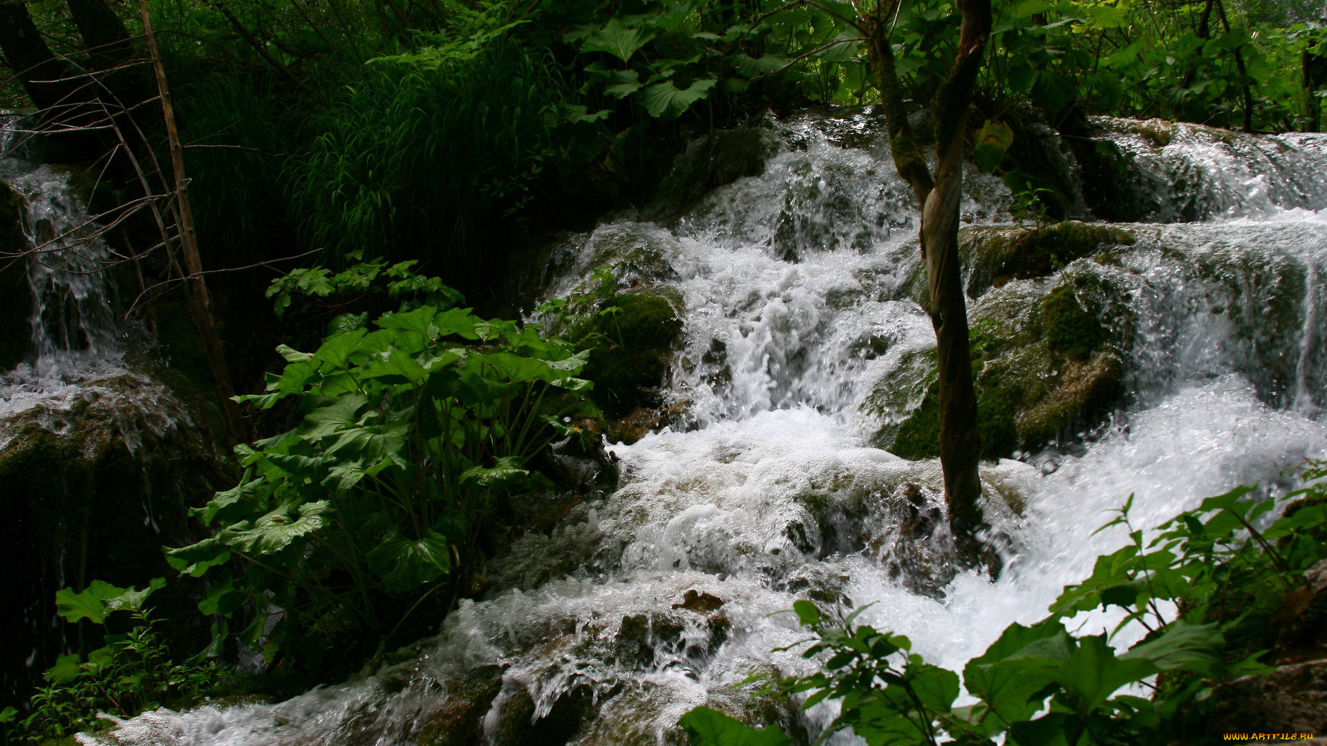 природа, водопады, камни, лес, поток