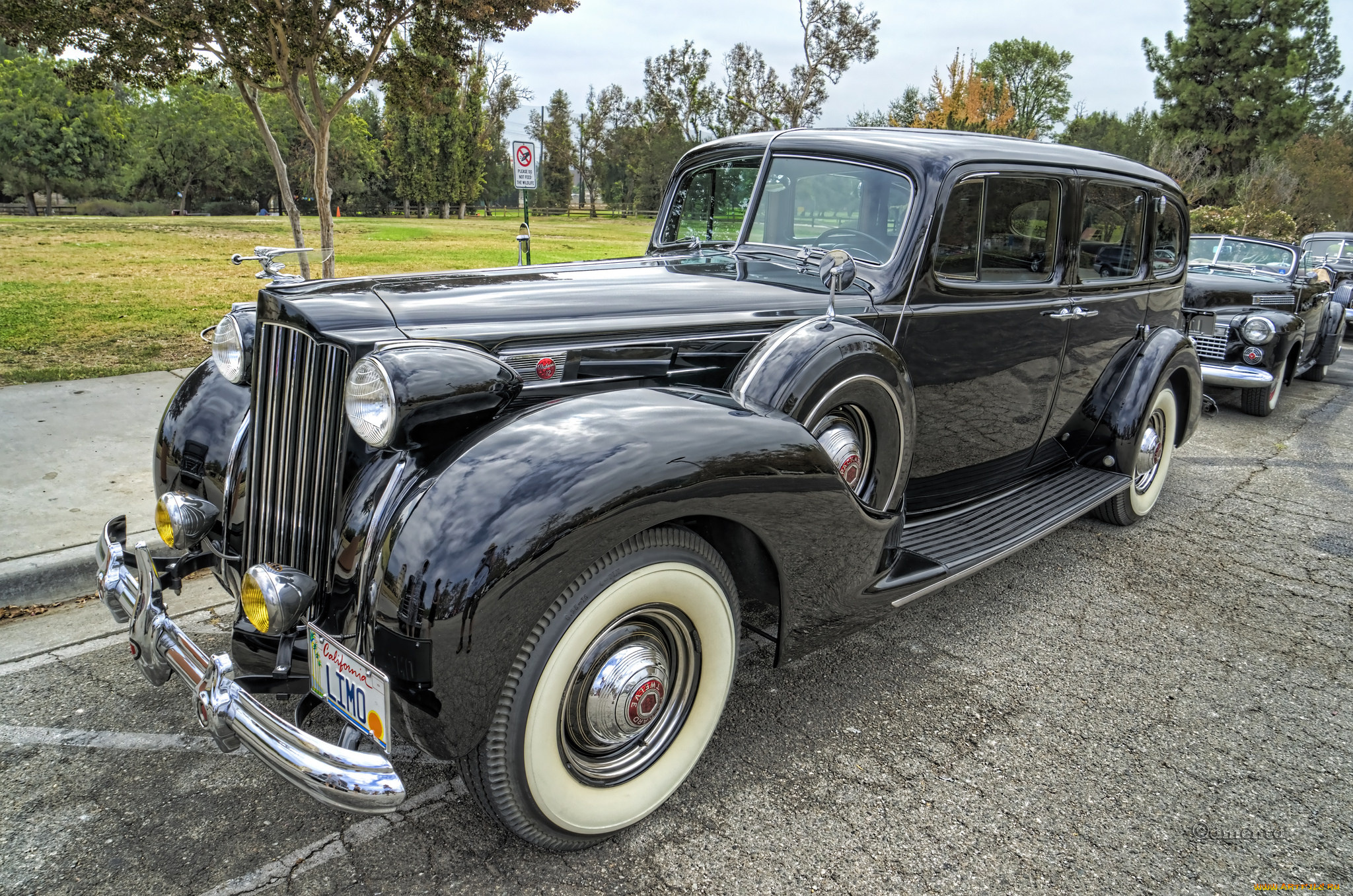 1939, packard, 1708, limousine, автомобили, выставки, и, уличные, фото, выставка, автошоу