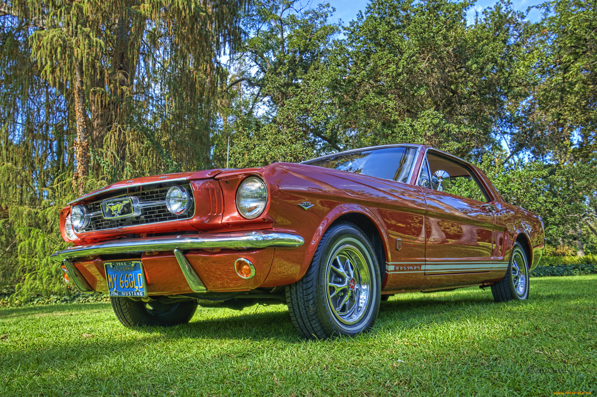 mustang, автомобили, автошоу, выставка