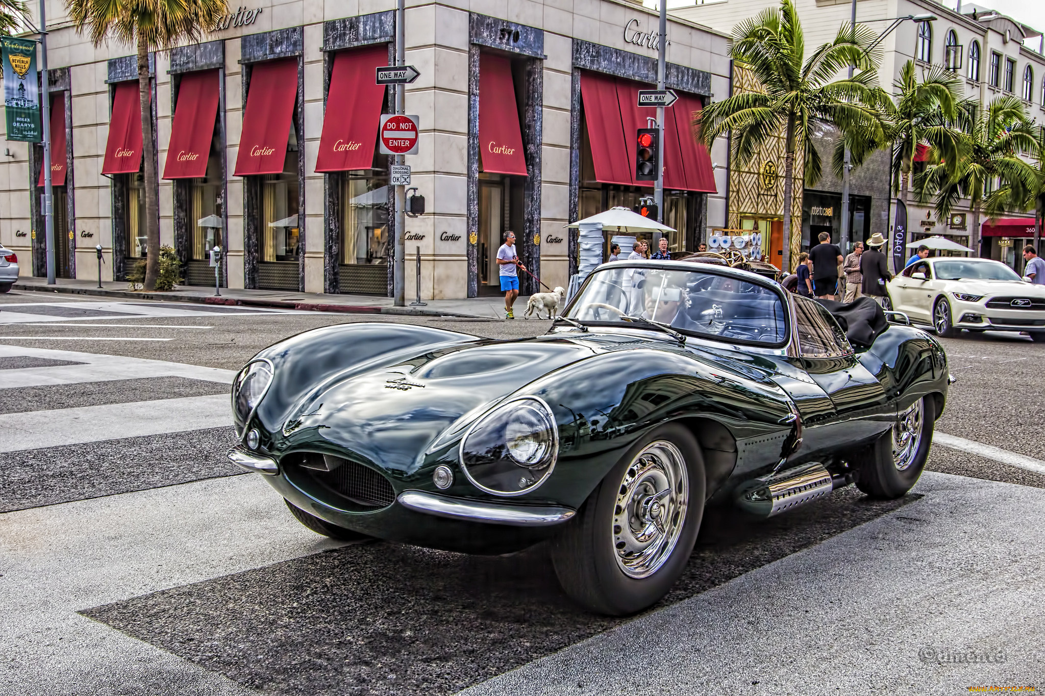 1956, jaguar, xkss, автомобили, выставки, и, уличные, фото, автошоу, выставка