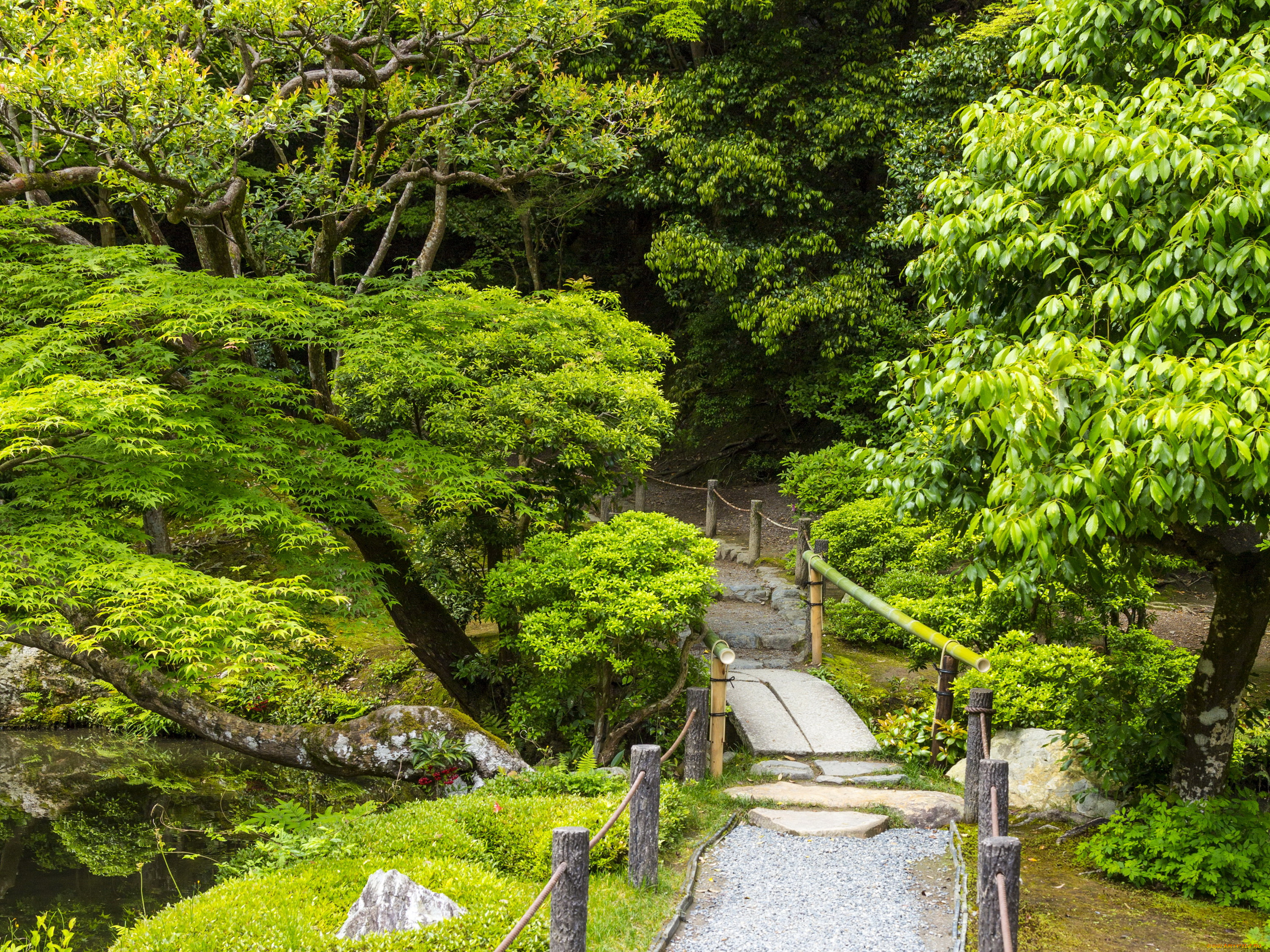 природа, парк, пруд, деревья, сад, кусты, мостик, японский