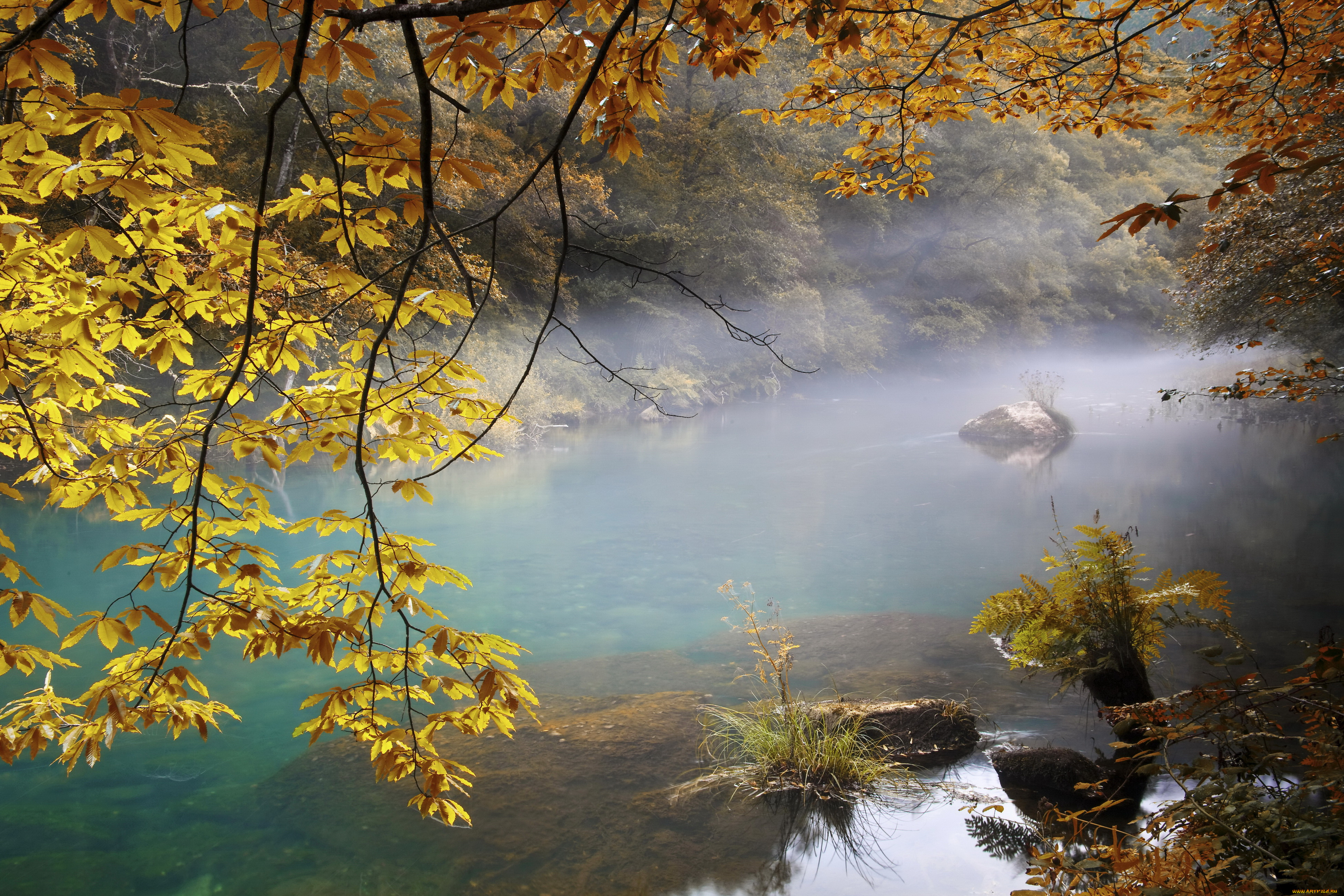 природа, реки, озера, туман, река, осень, листва, лес