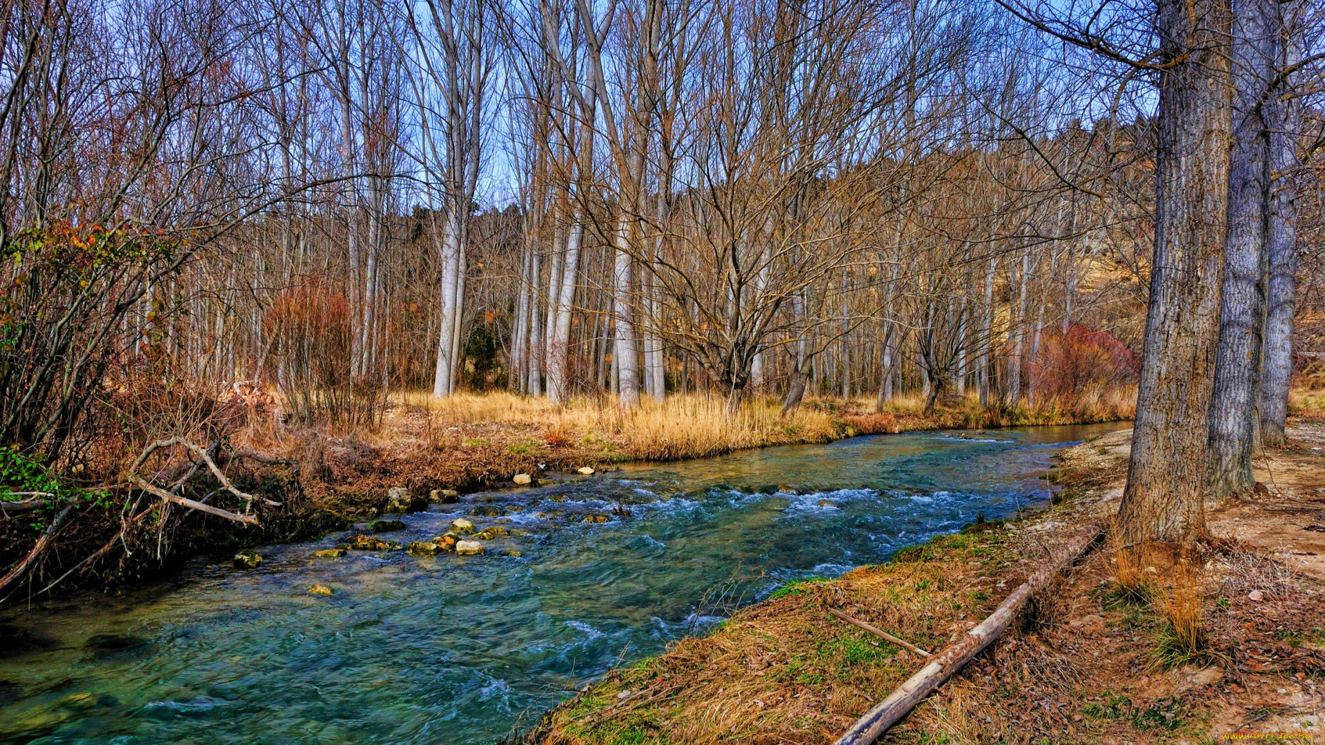 природа, реки, озера, лес, река, осень, бревно