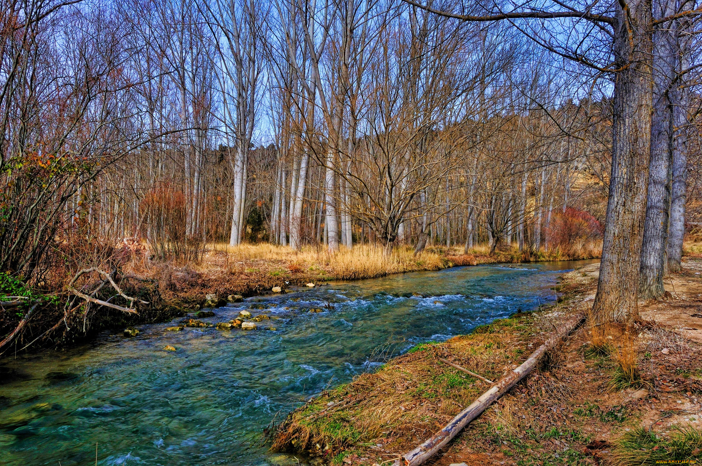 природа, реки, озера, лес, река, осень, бревно