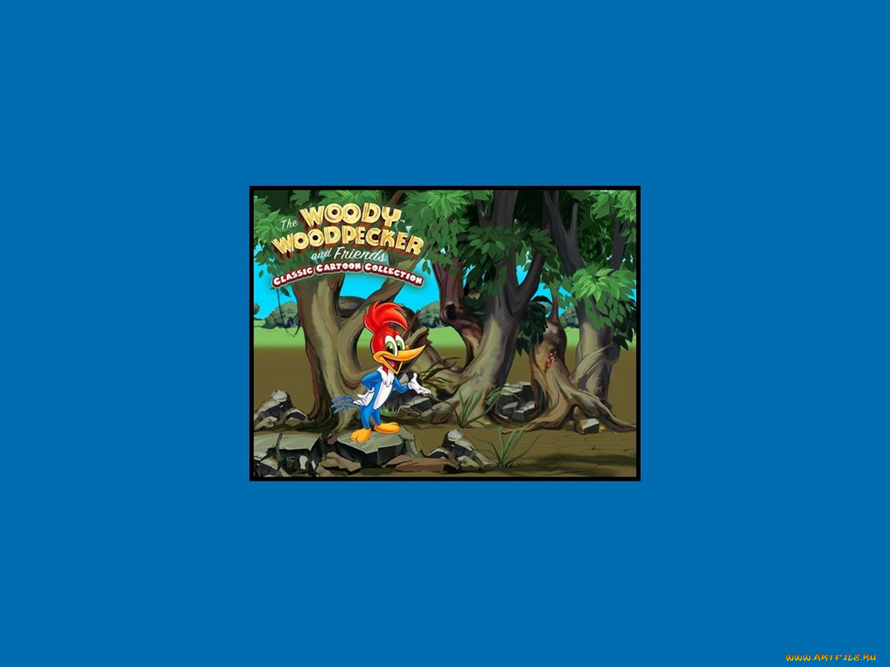 мультфильмы, woody, woodpecker