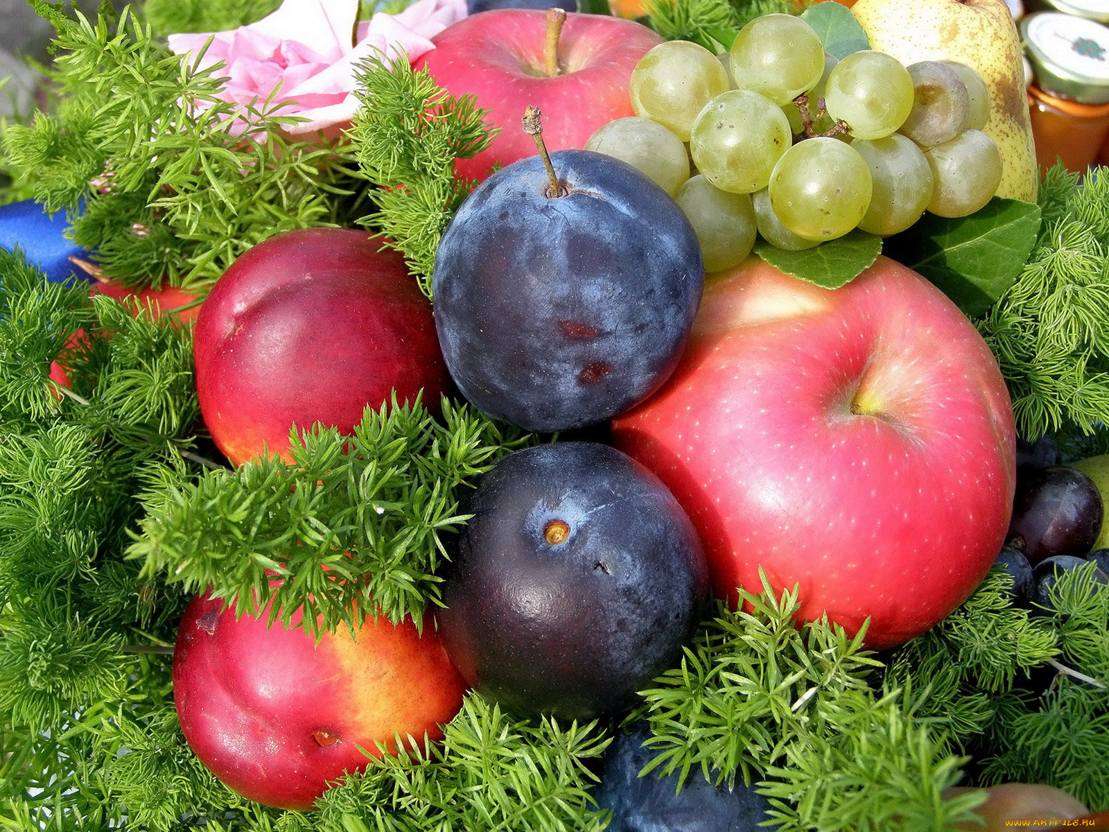 еда, фрукты, ягоды, виноград, яблоки, сливы