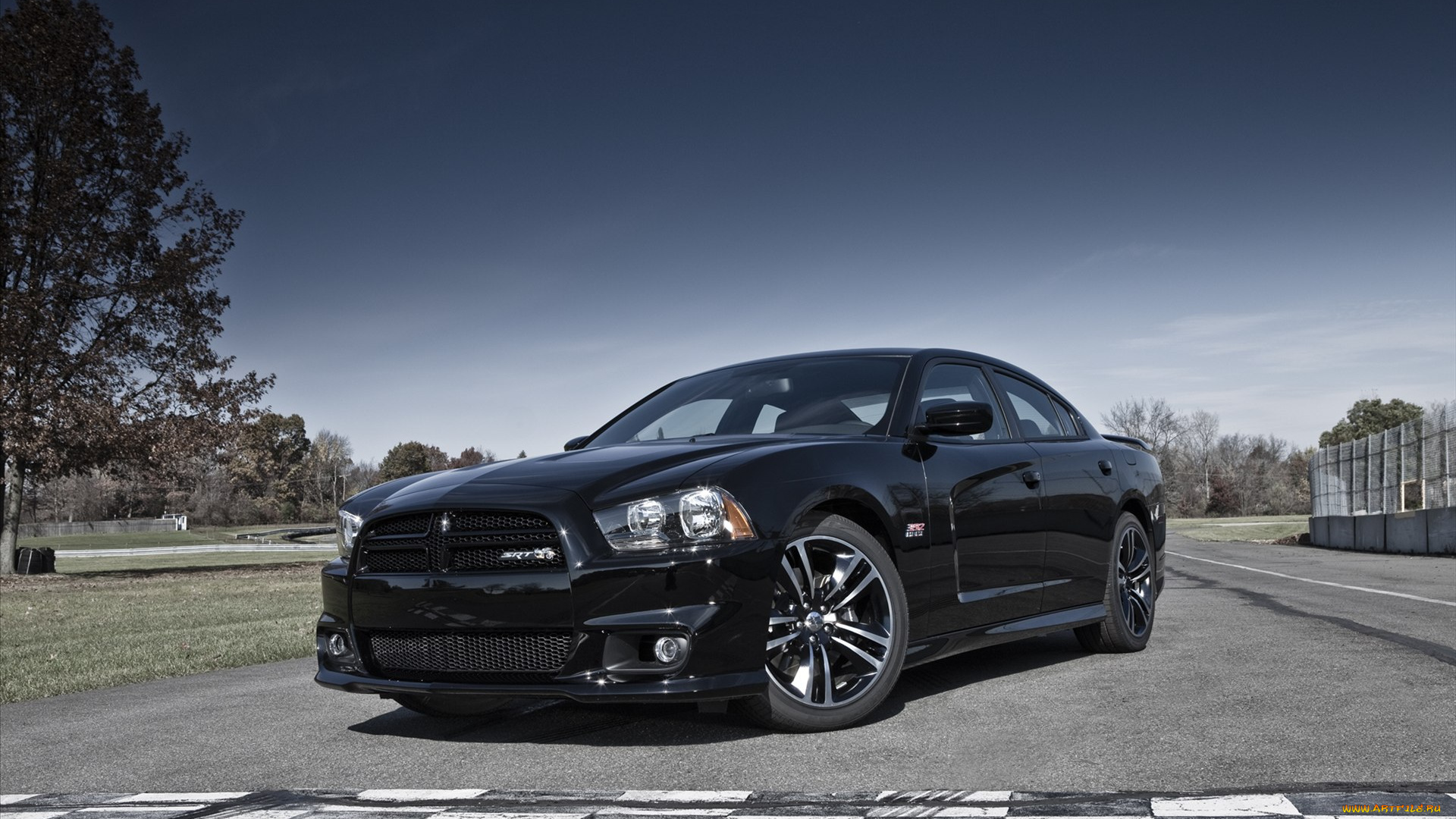 dodge, charger, srt8, super, bee, 2012, автомобили