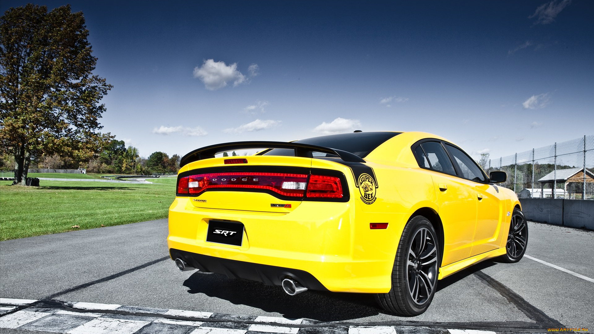 dodge, charger, srt8, super, bee, 2012, автомобили