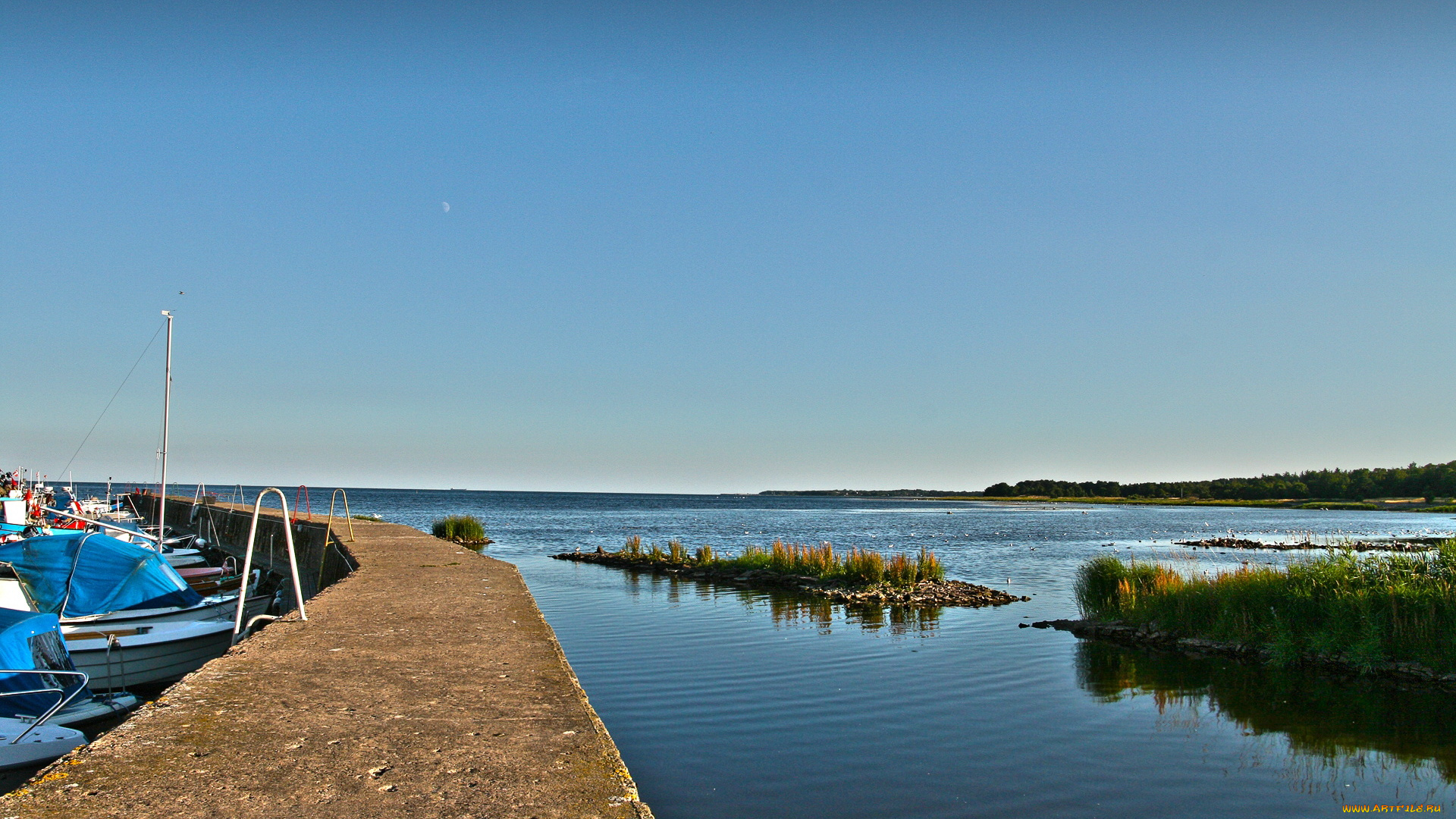 природа, побережье, вода, небо