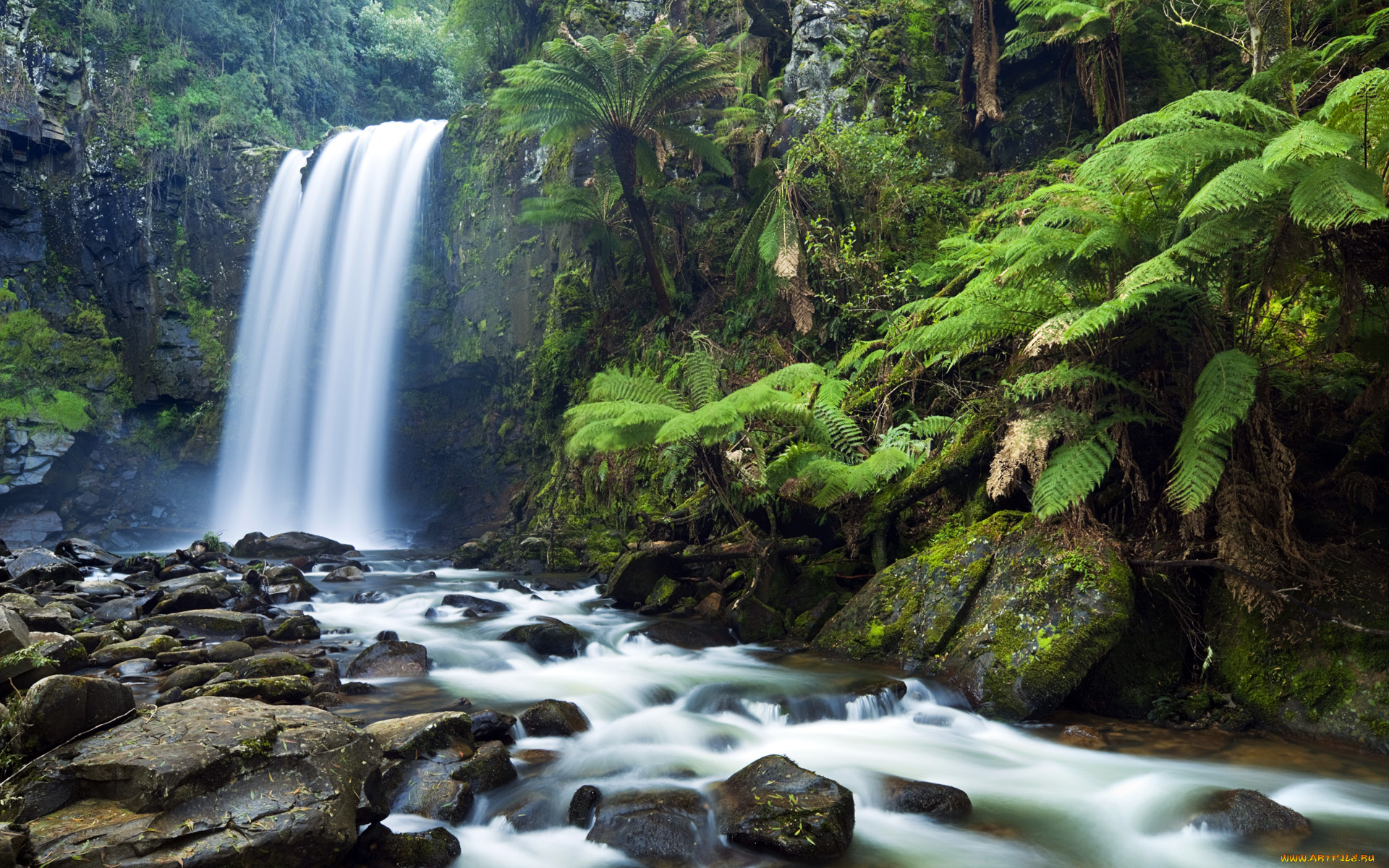 Jungle water. Природа водопад. Тропические водопады. Тропические леса. Водопад тропики.