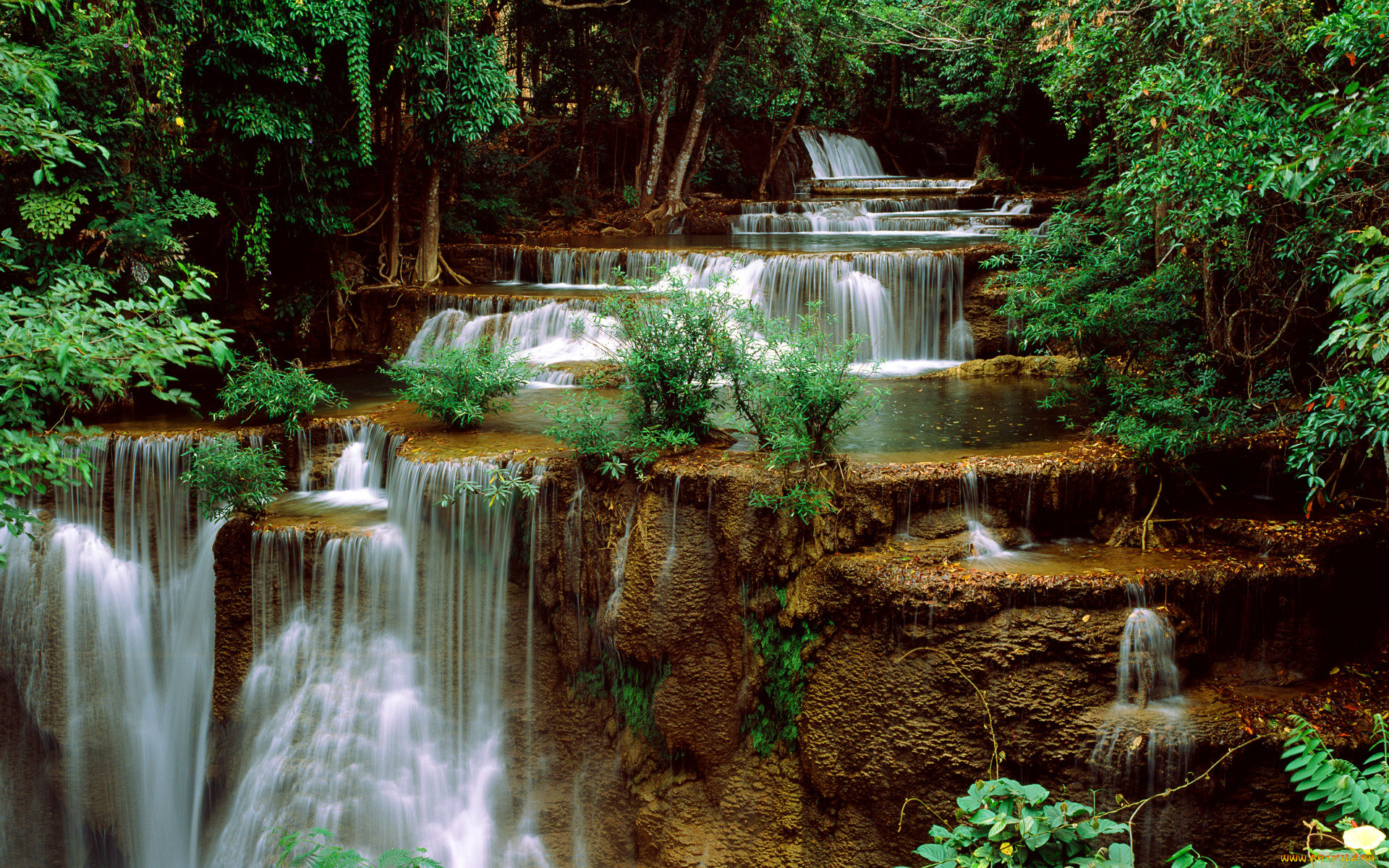природа, водопады, река, каскады, деревья