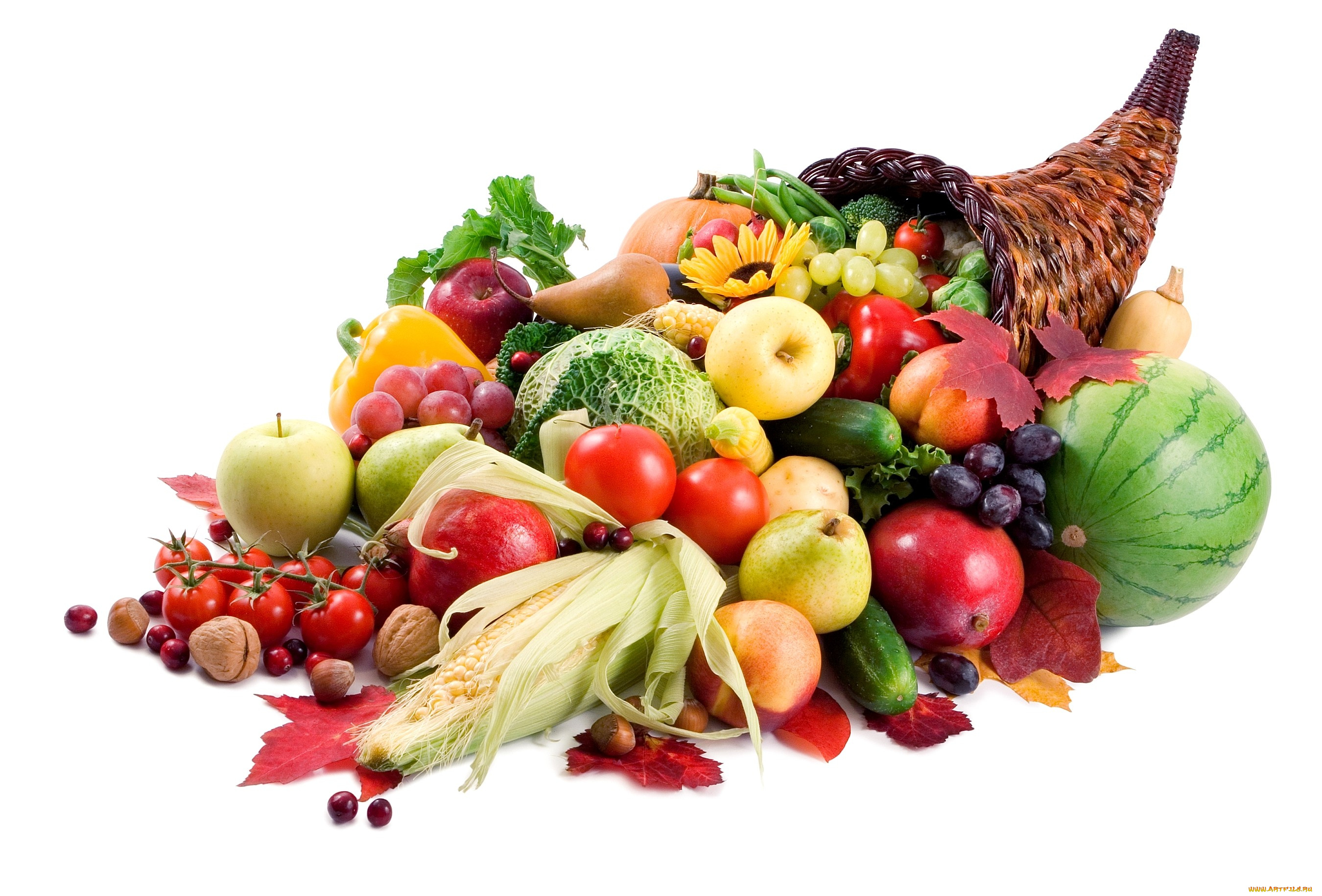 еда, фрукты, овощи, вместе, рог, изобилия, кукуруза, арбуз, помидоры, яблоки, томаты, початок