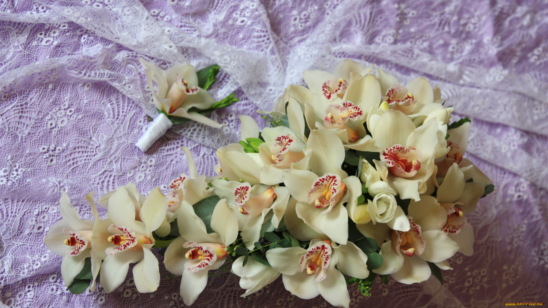 цветы, орхидеи, цимбидиум