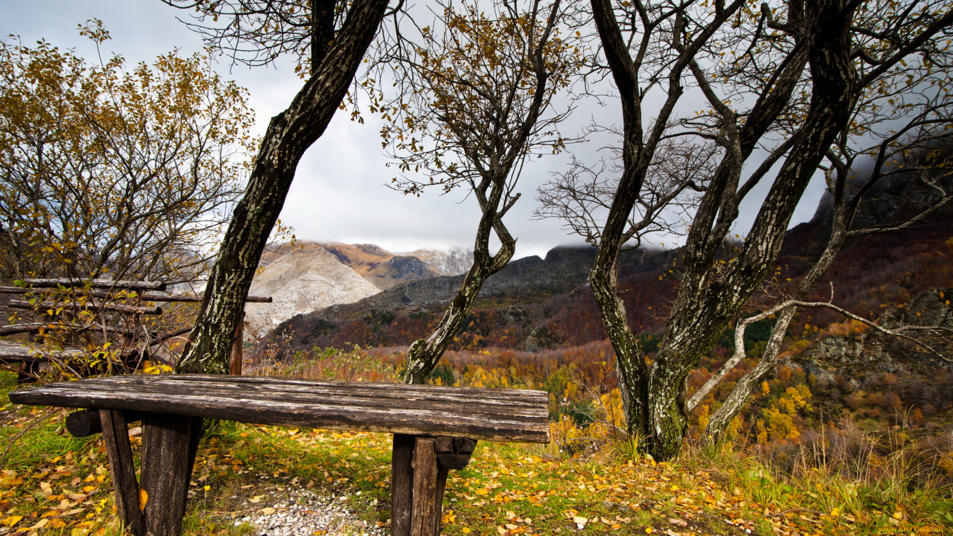 природа, пейзажи, осень, деревья, горы, скамейка, листва
