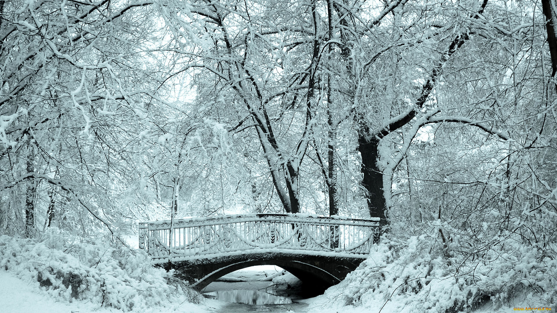 природа, зима, парк, виадук, река, деревья, снег