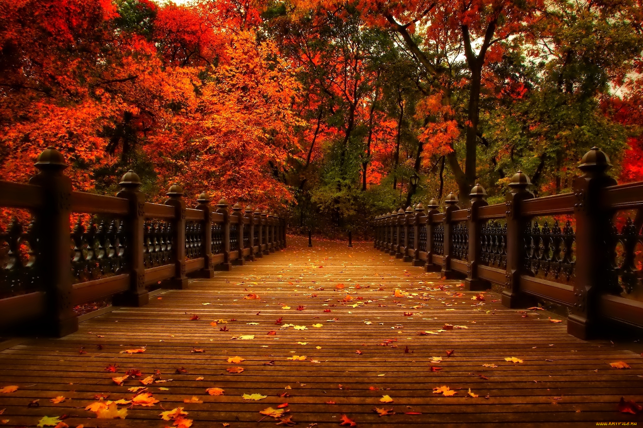 природа, парк, осень, листья, деревья