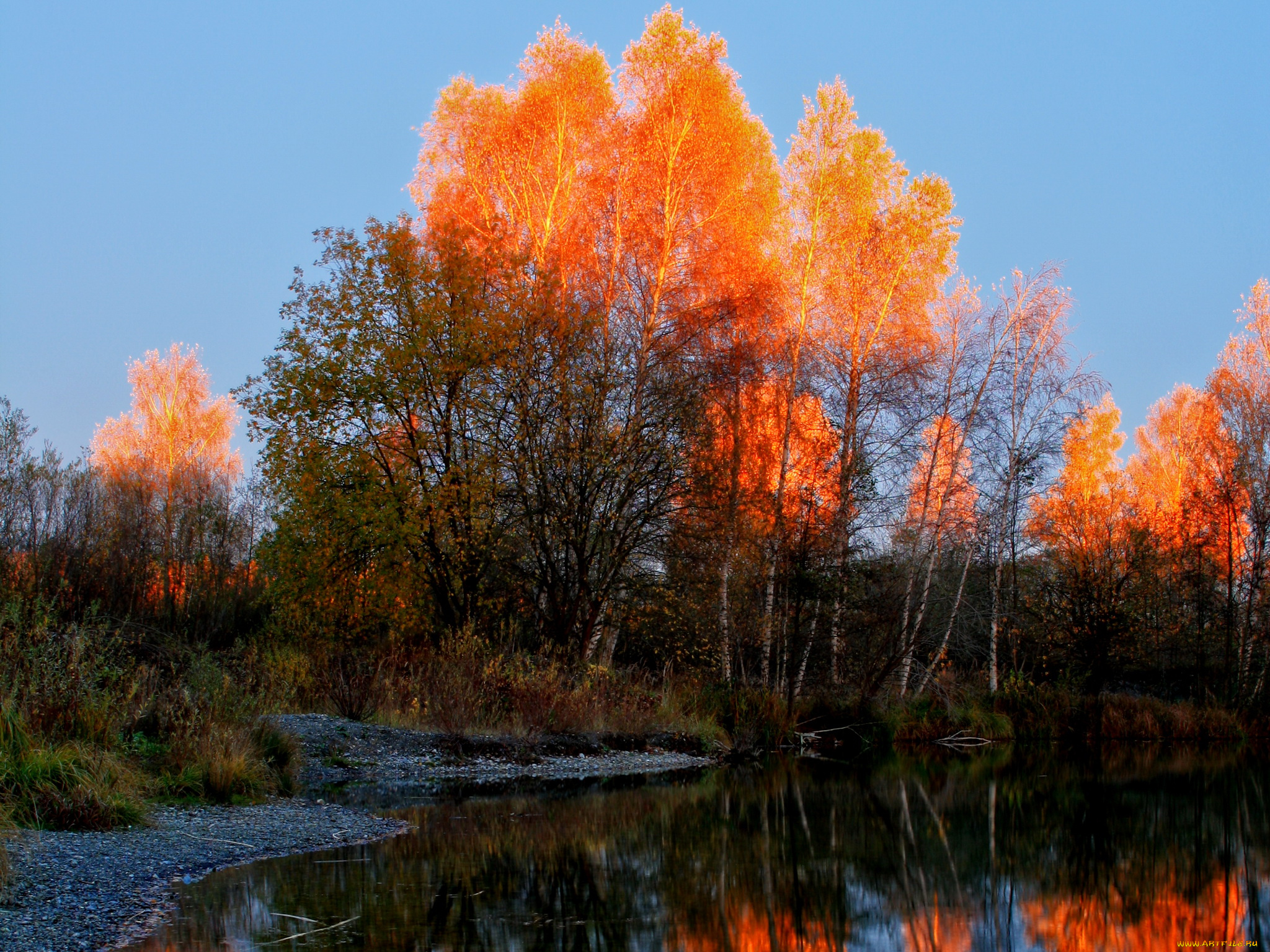 природа, деревья, река, осень