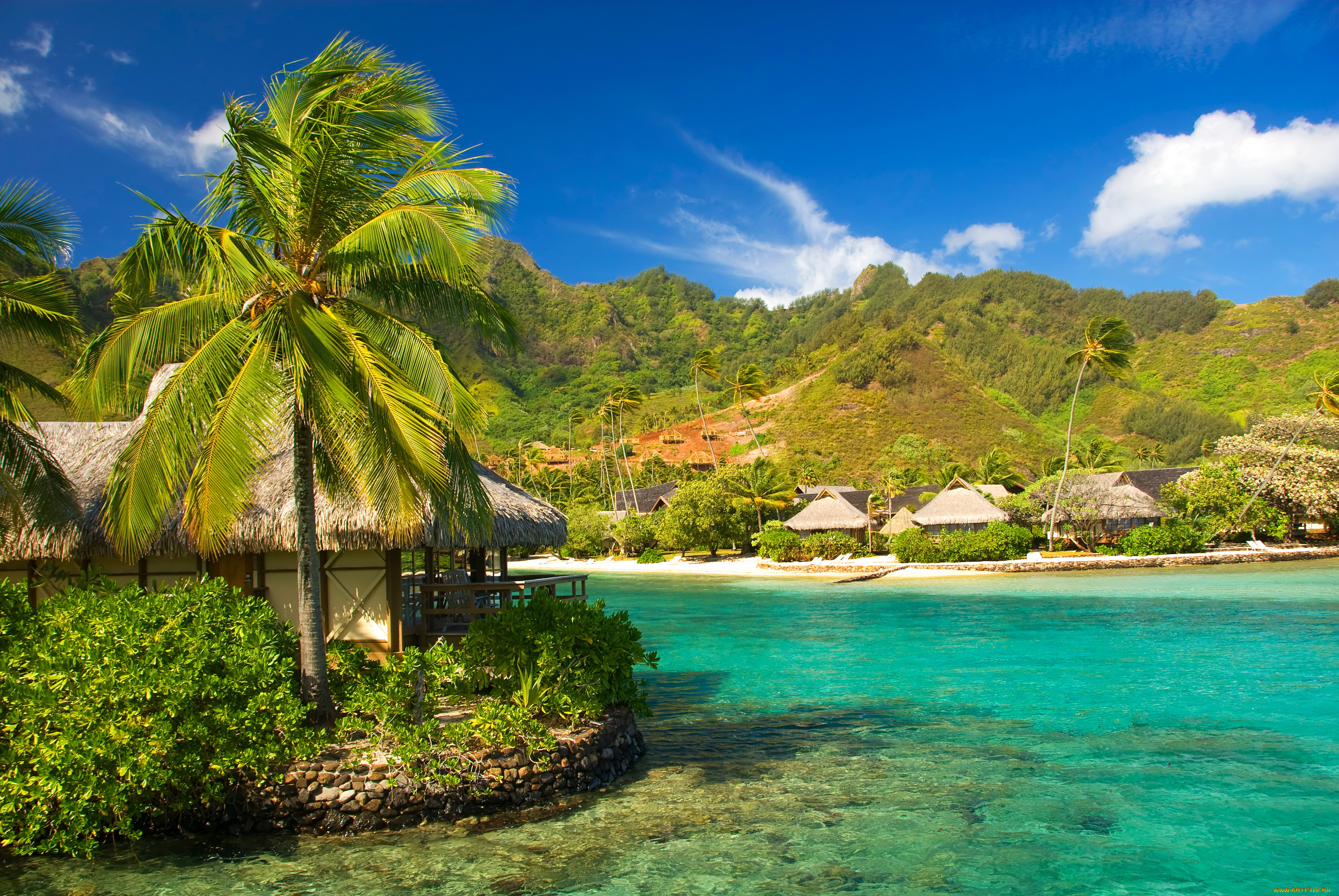 moorea, french, polynesia, природа, тропики, бунгало, море, горы