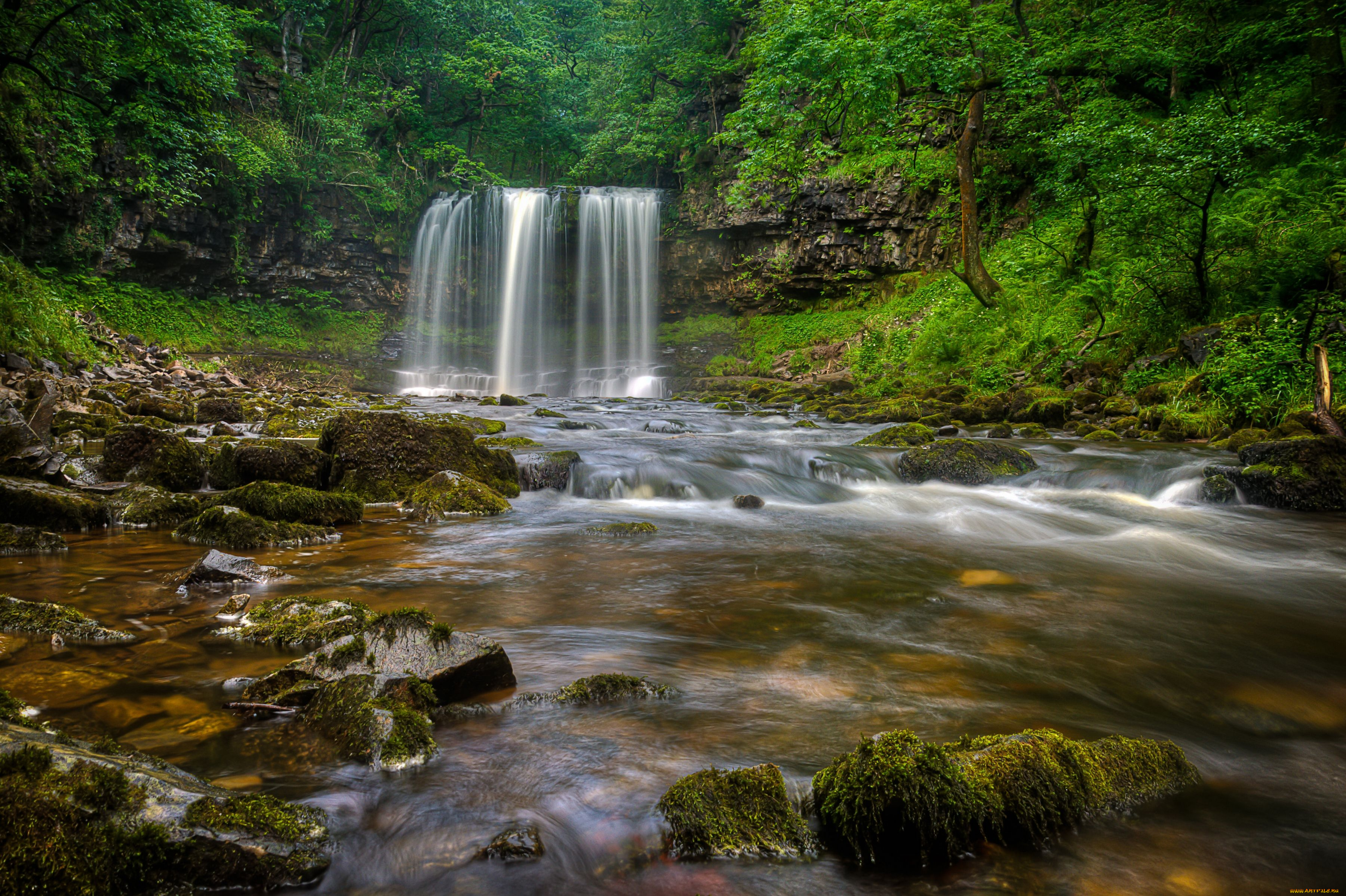 sgwd, yr, eira, waterfall, brecon, beacons, national, park, wales, england, природа, водопады, afon, hepste, river, уэльс, англия, река, лес