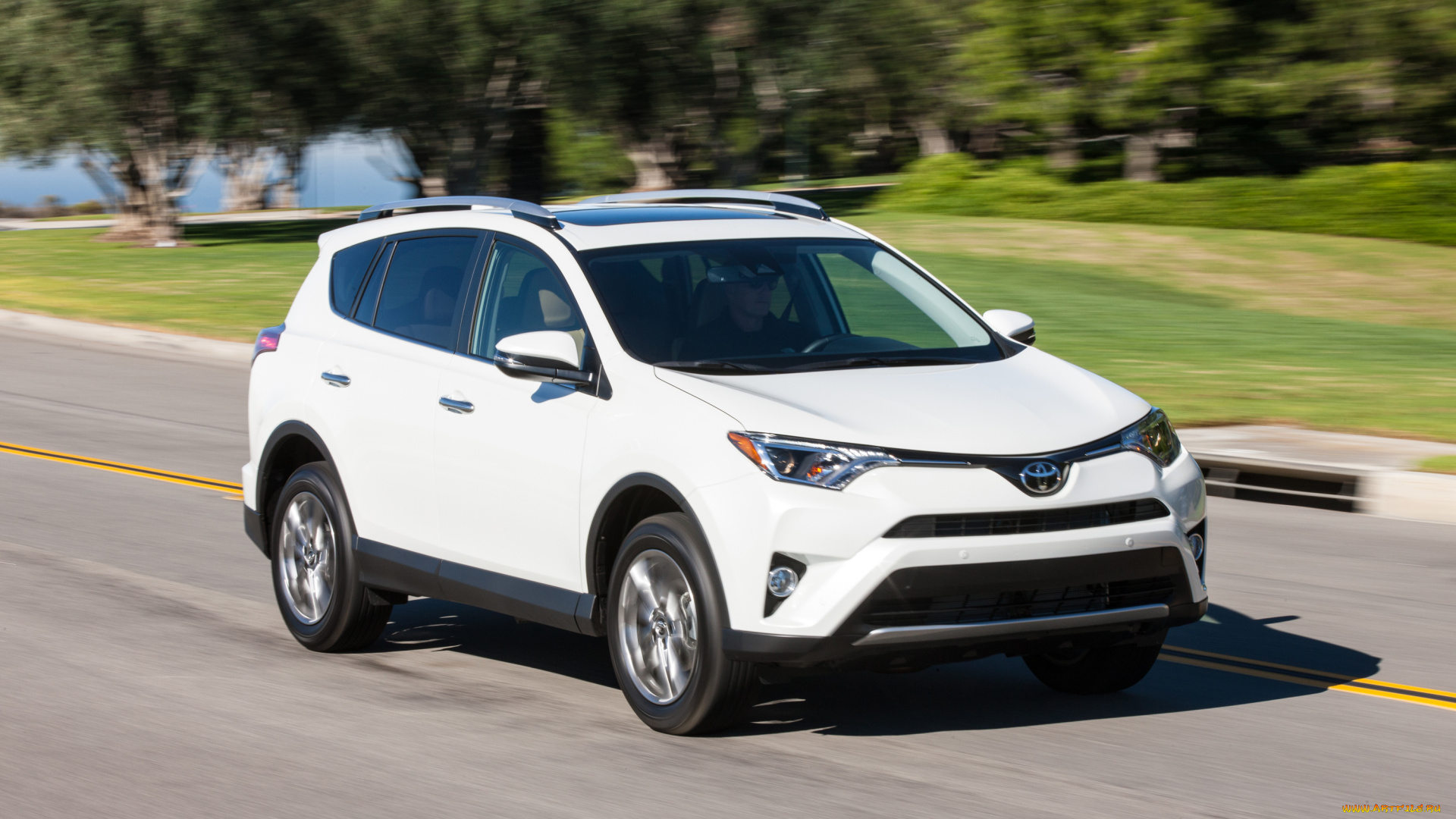 автомобили, toyota, светлый, 2016г, us-spec, rav4