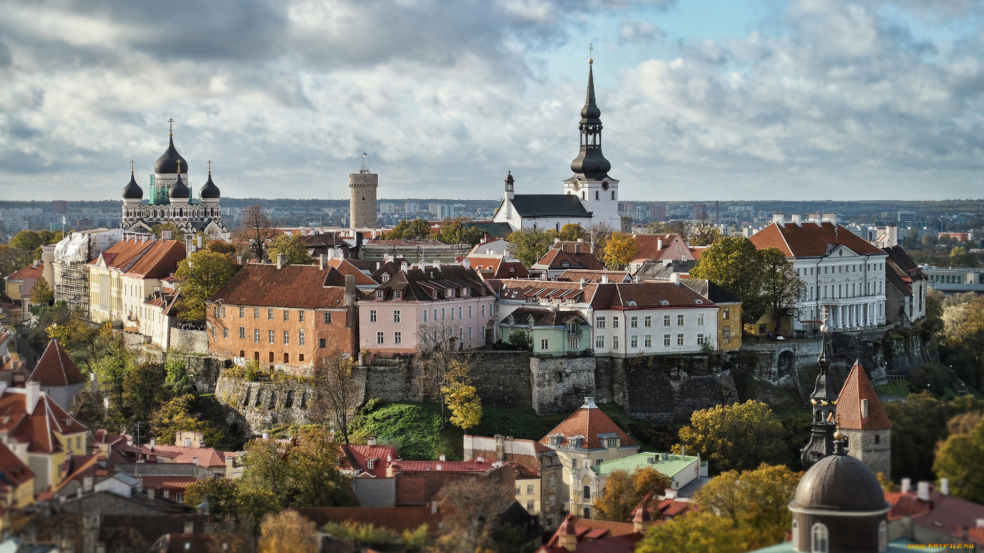 old, town, -, tallinn, города, таллин, , эстония, шпили, крыши