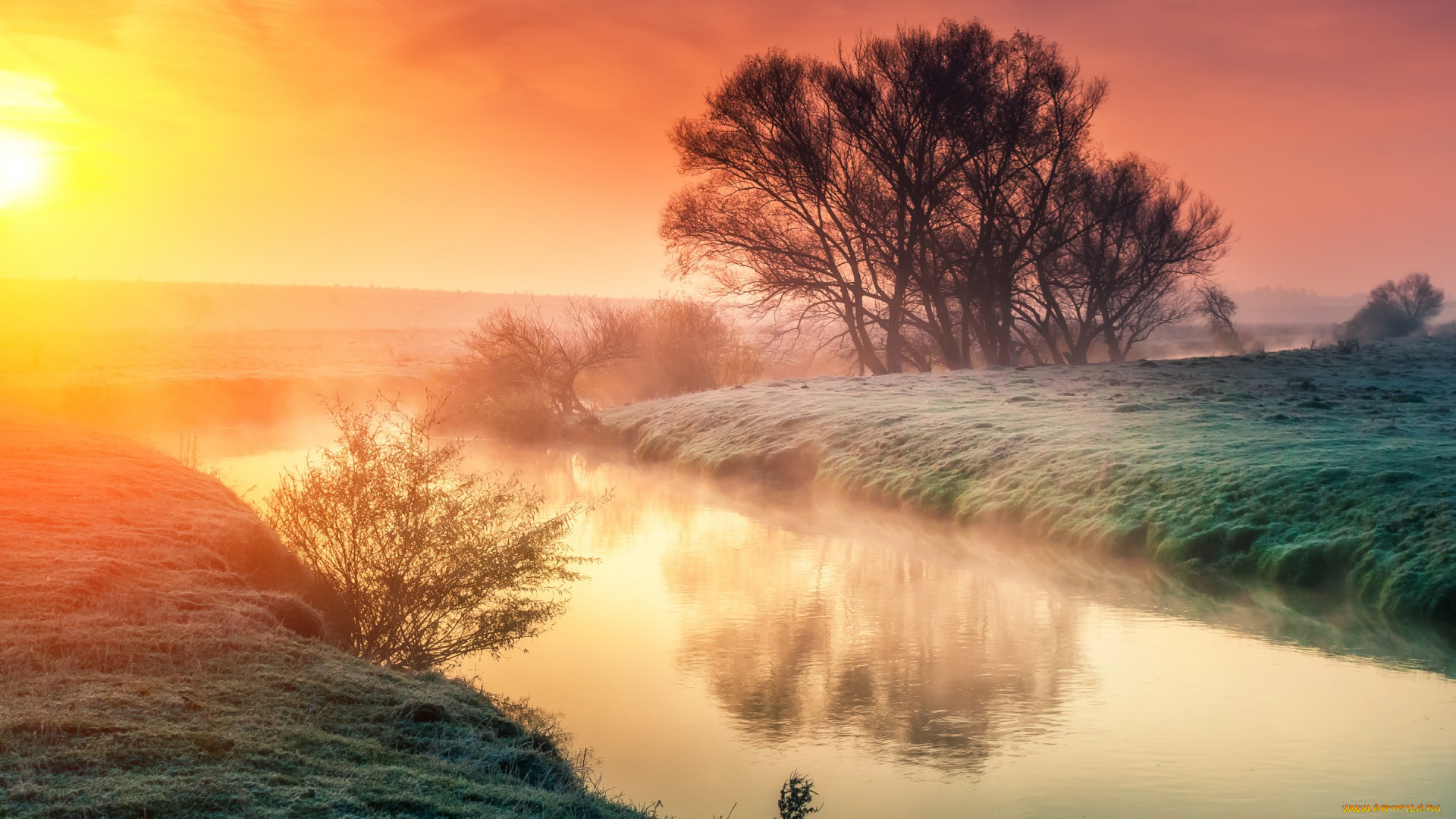 природа, восходы, закаты, река, nature, восход, landscape, утро, туман, lake, sunset, дерево, пейзаж