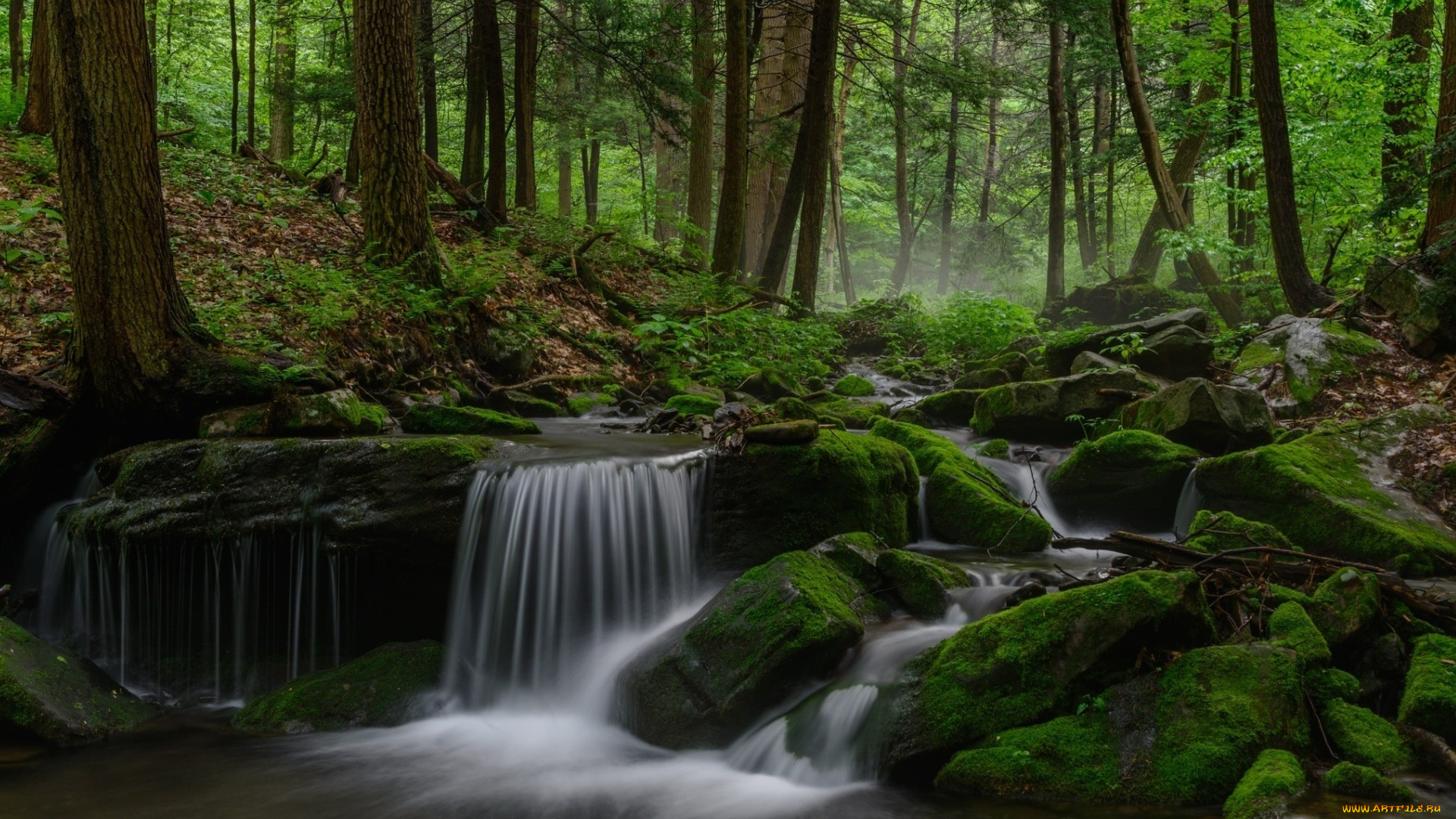 природа, водопады, лес, водопад, камни