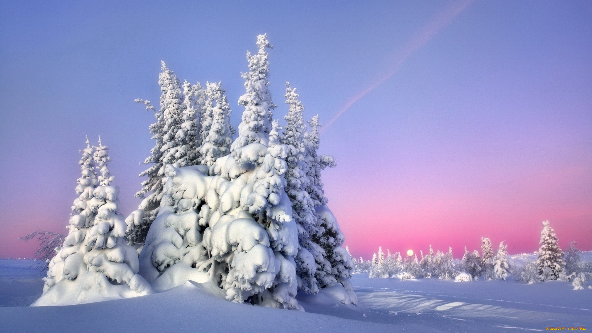 природа, зима, деревья, снег