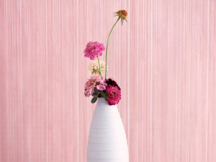 цветы ваза розовые скачать