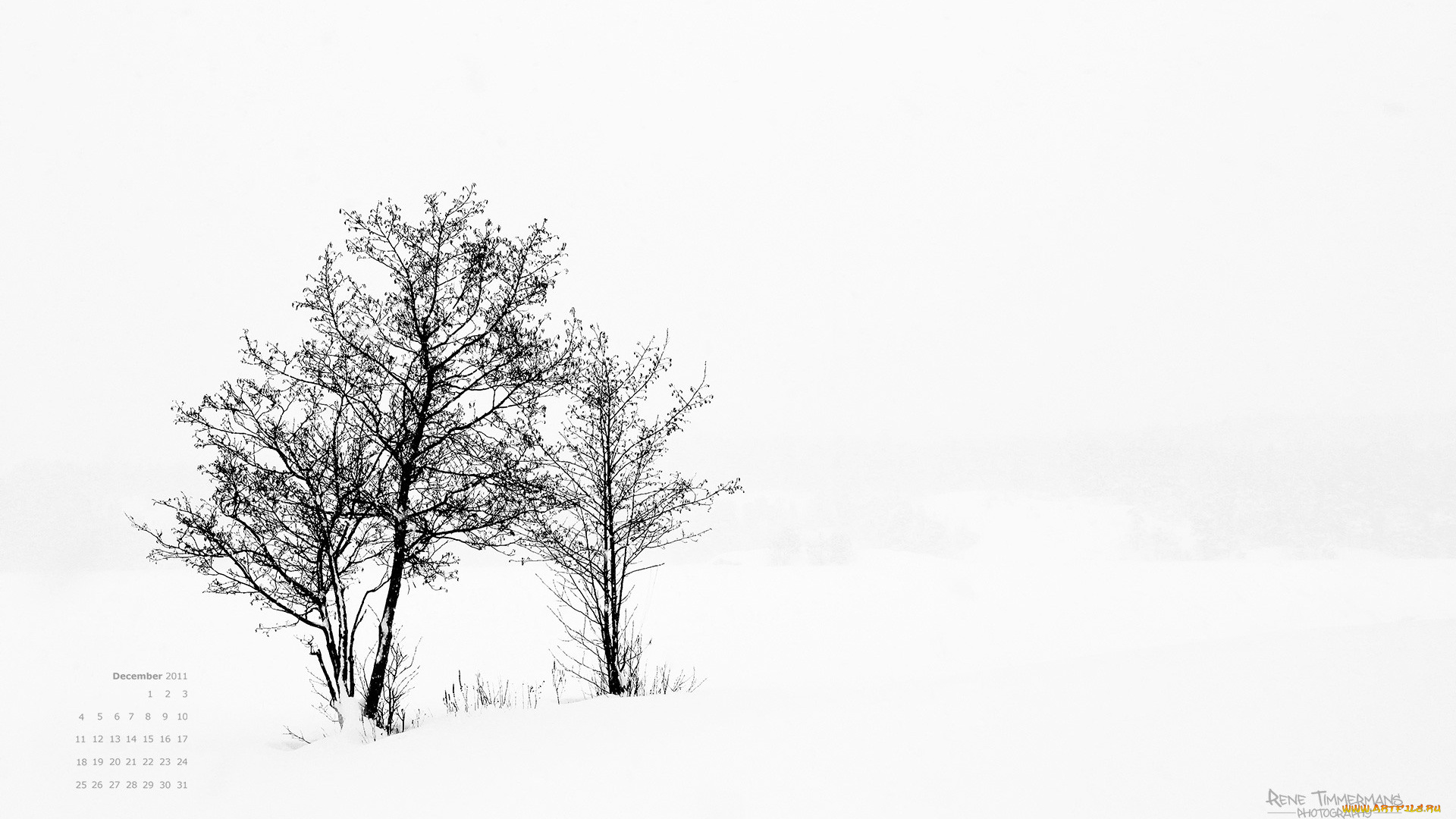 календари, природа, снег, деревья