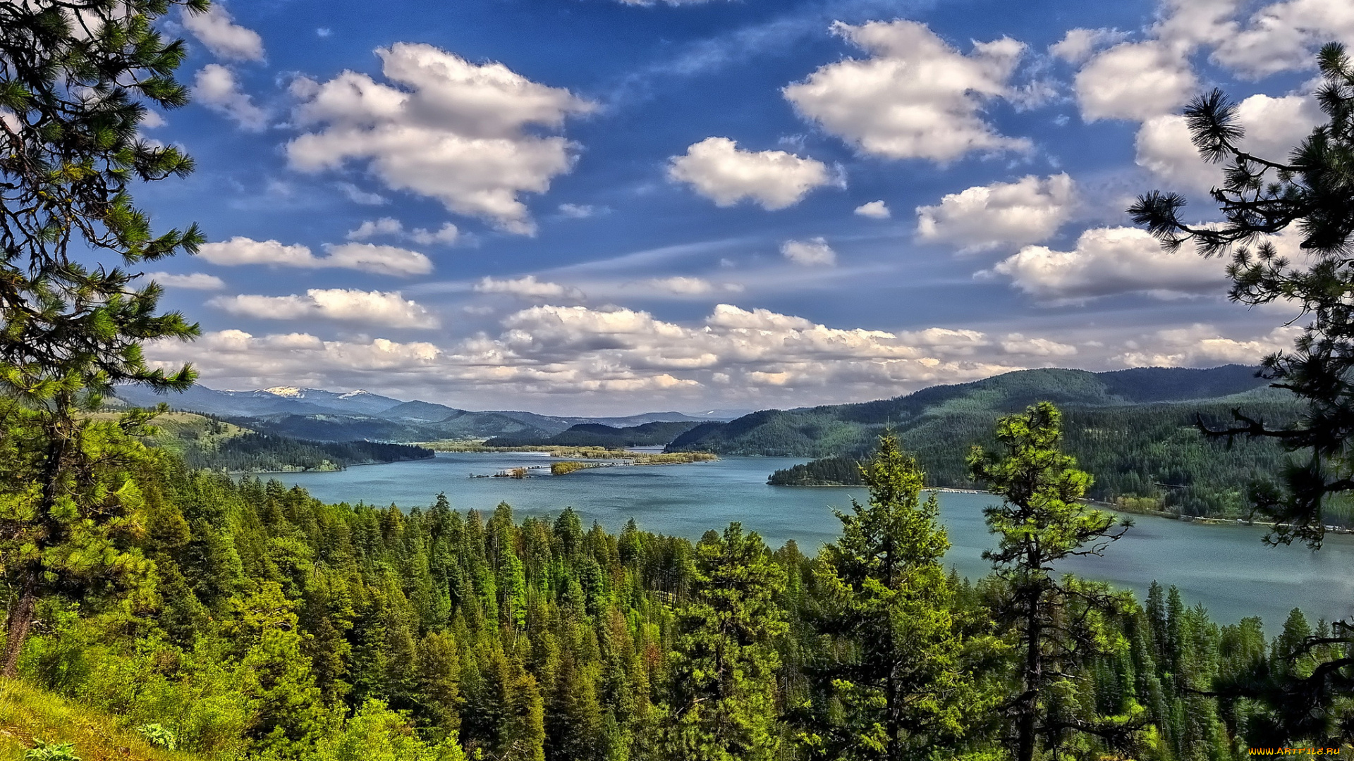 lake, coeur, d`alene, природа, реки, озера, озеро, лес, деревья, облака, пейзаж