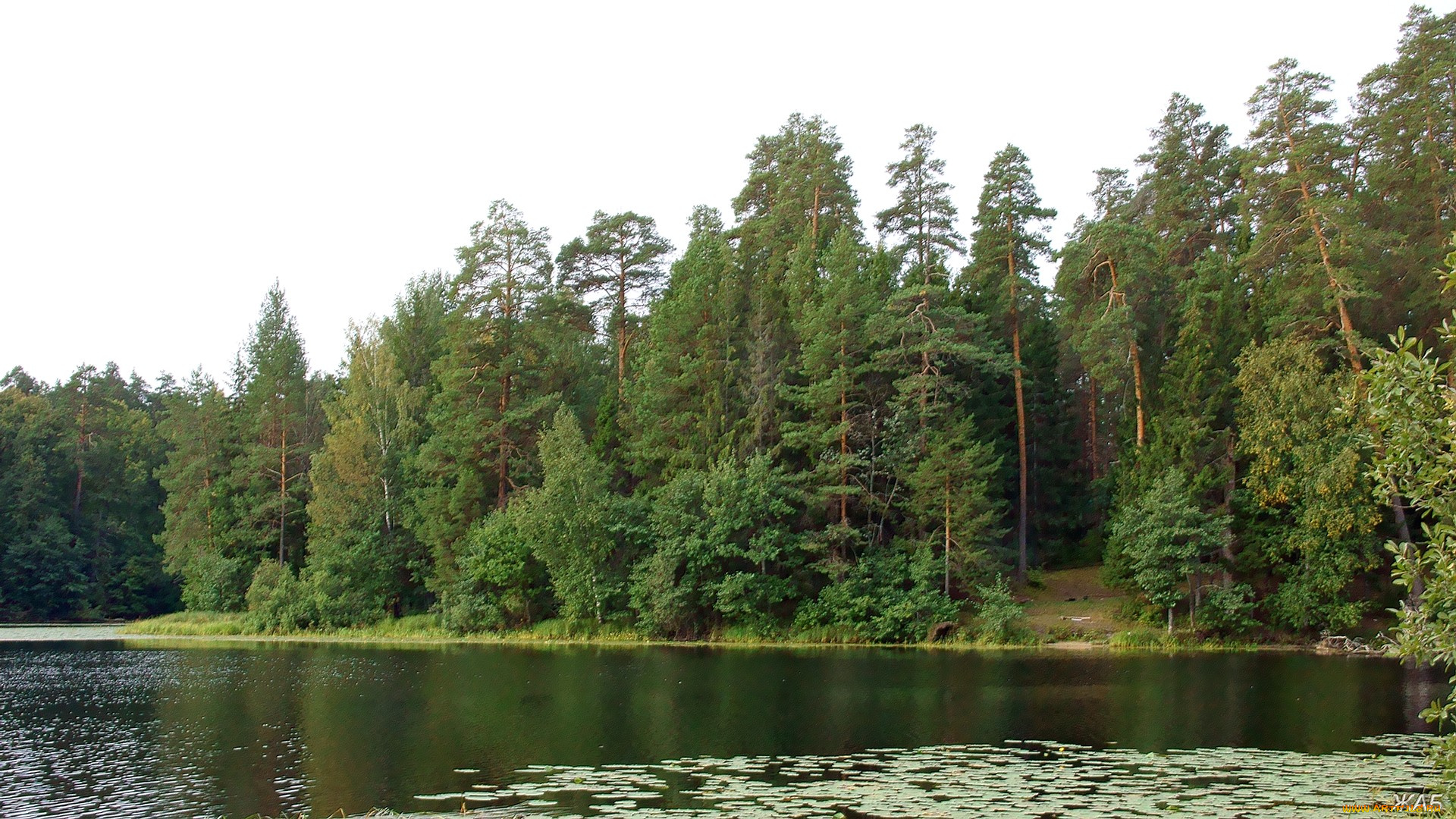 нижегородский, край, природа, реки, озера, лес, озеро