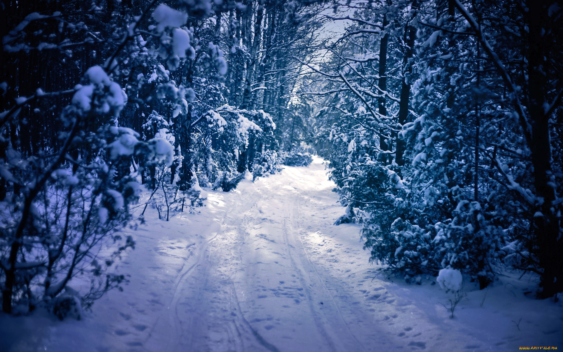 природа, зима, дорога, снег, деревья, лес
