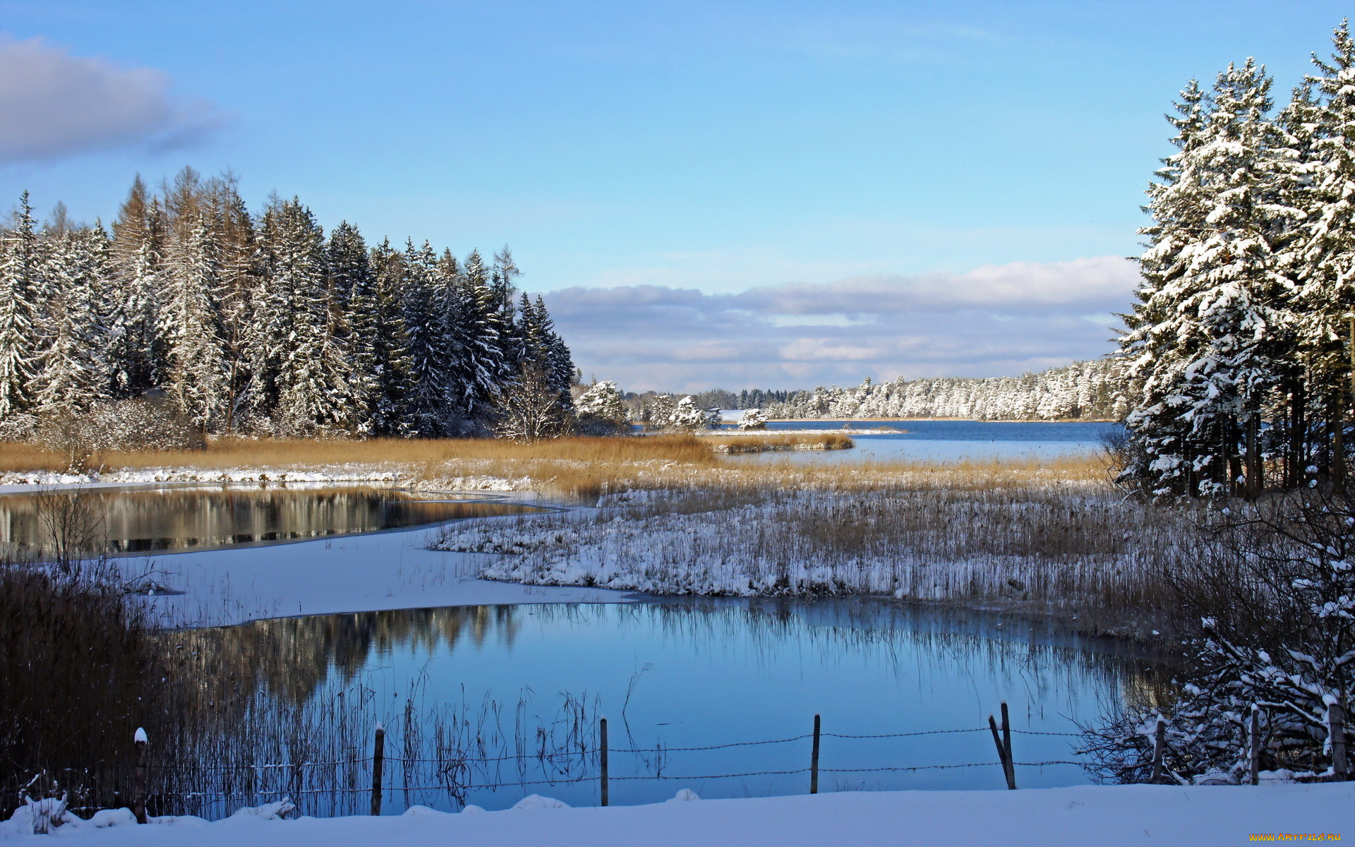 природа, зима, озеро