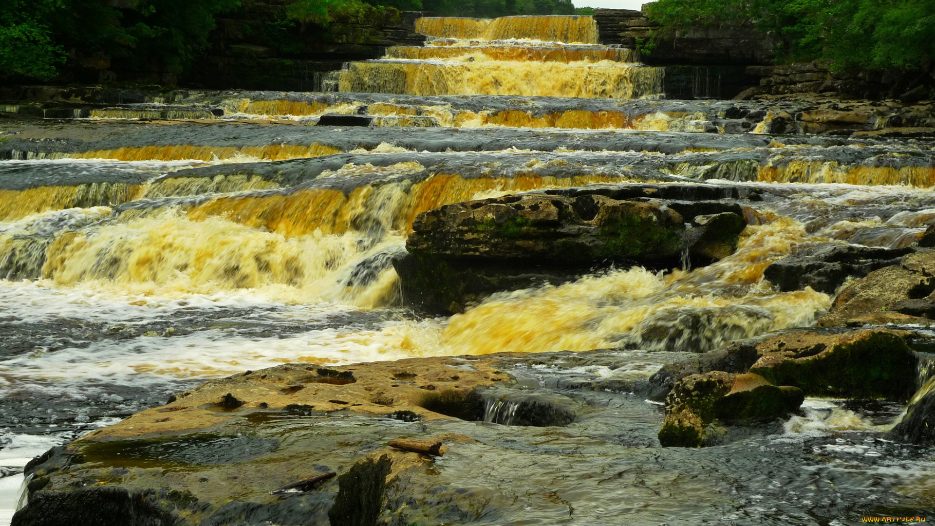 aysgarth, falls, природа, водопады, aysgarth, falls, united, kingdom, yorkshire, водопад
