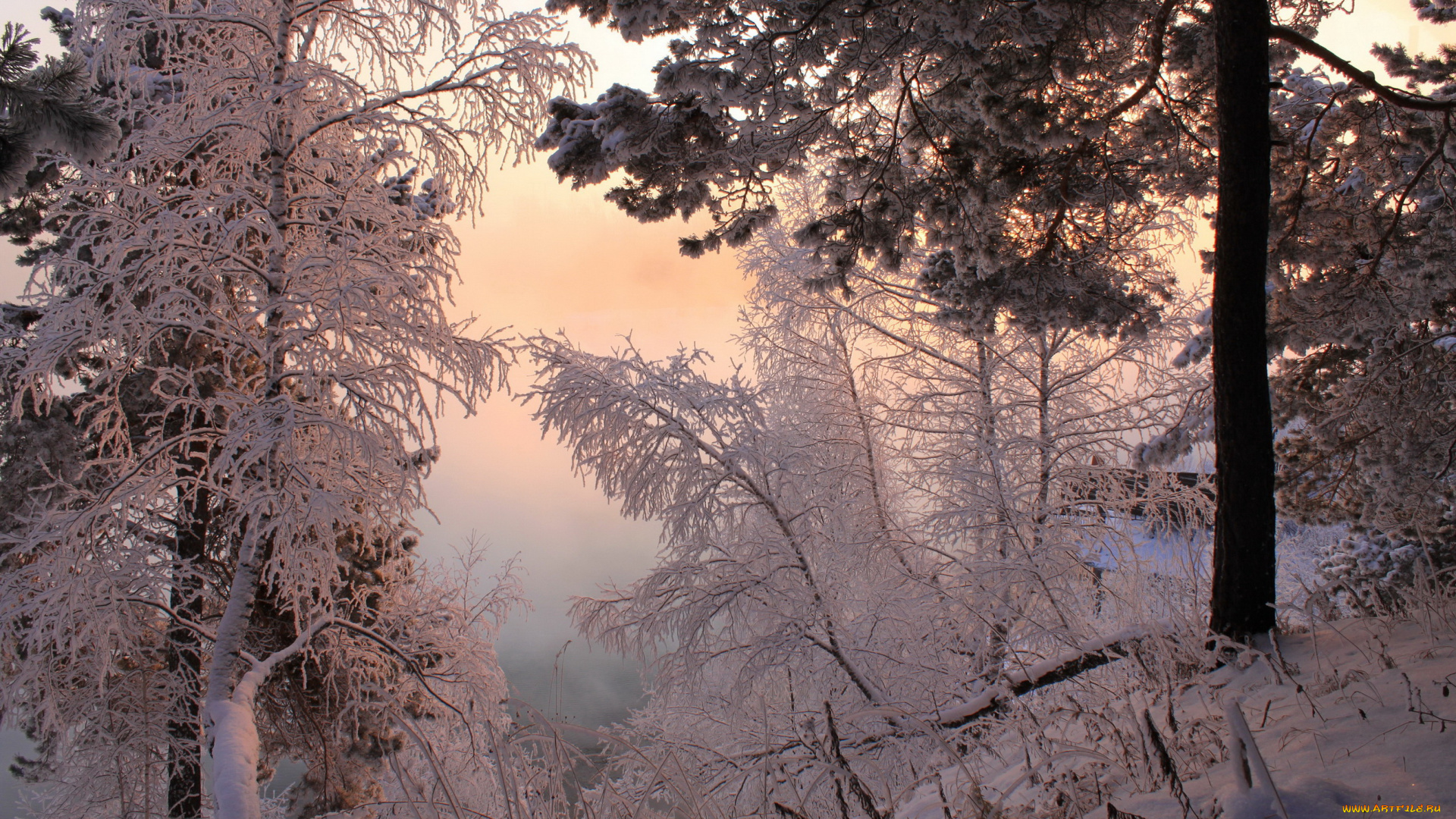 природа, зима, снег, дорога, лес