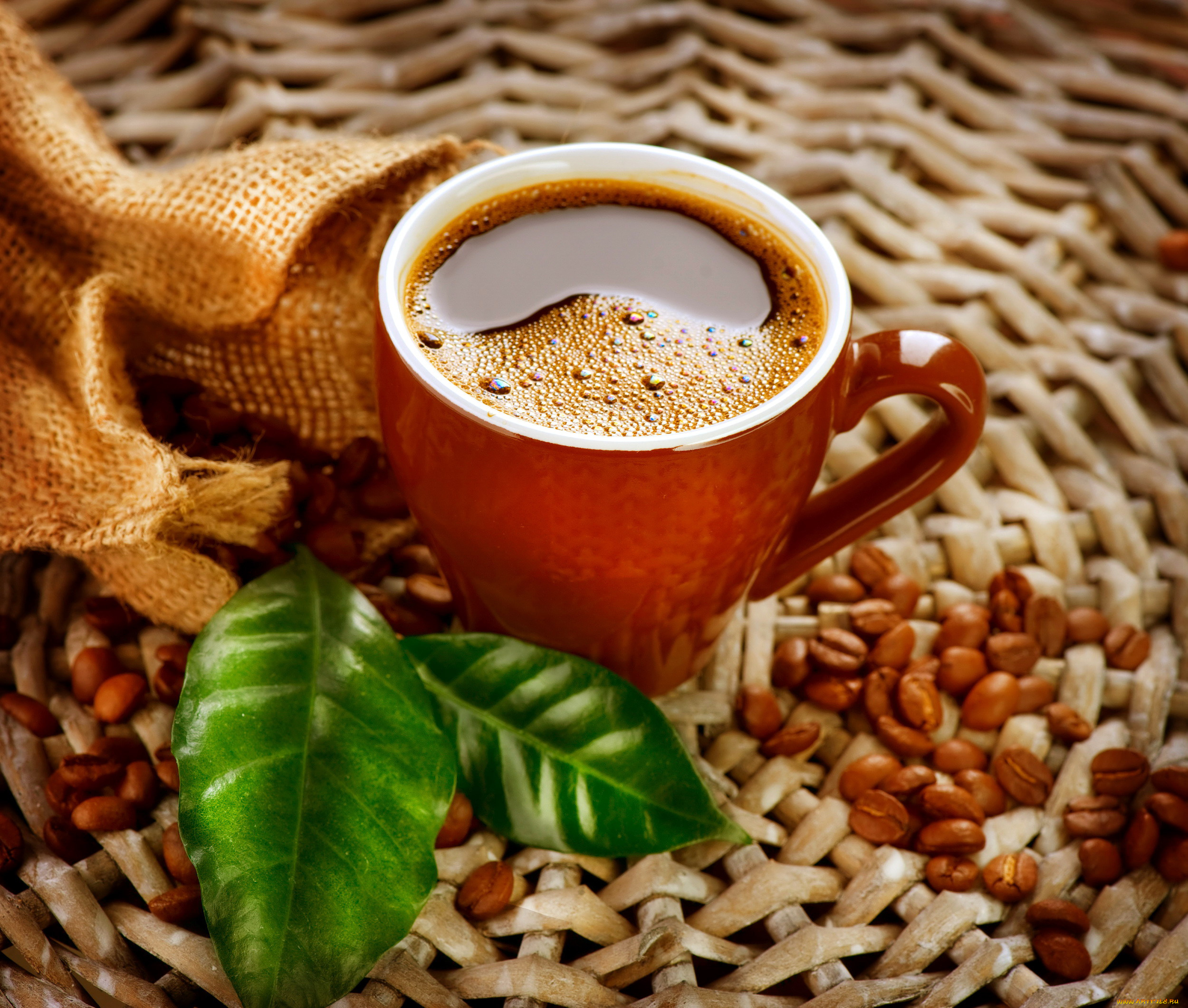 еда, кофе, , кофейные, зёрна, листья, зерна, чашка