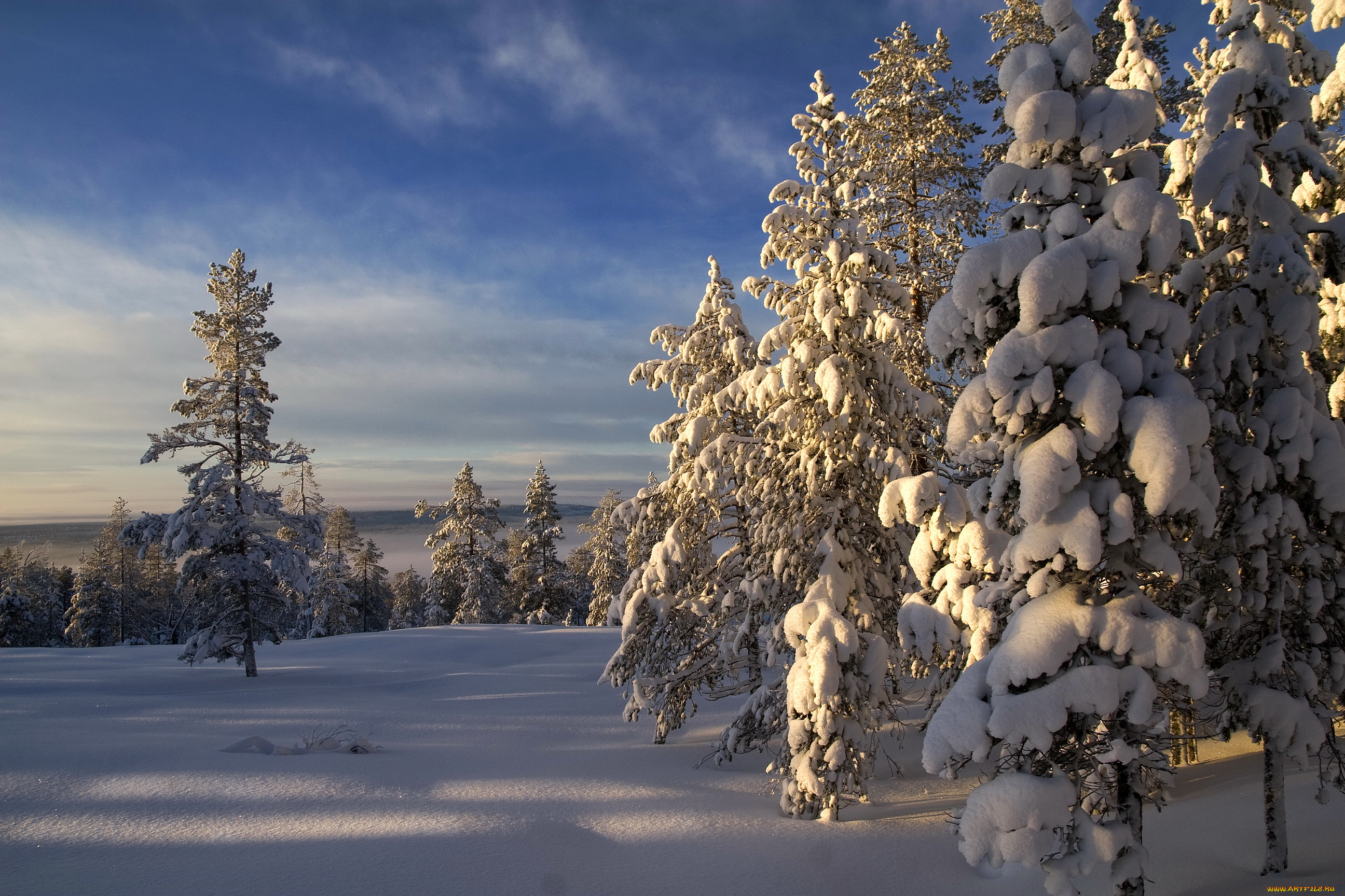 природа, зима, finland, lapland, снег, лес