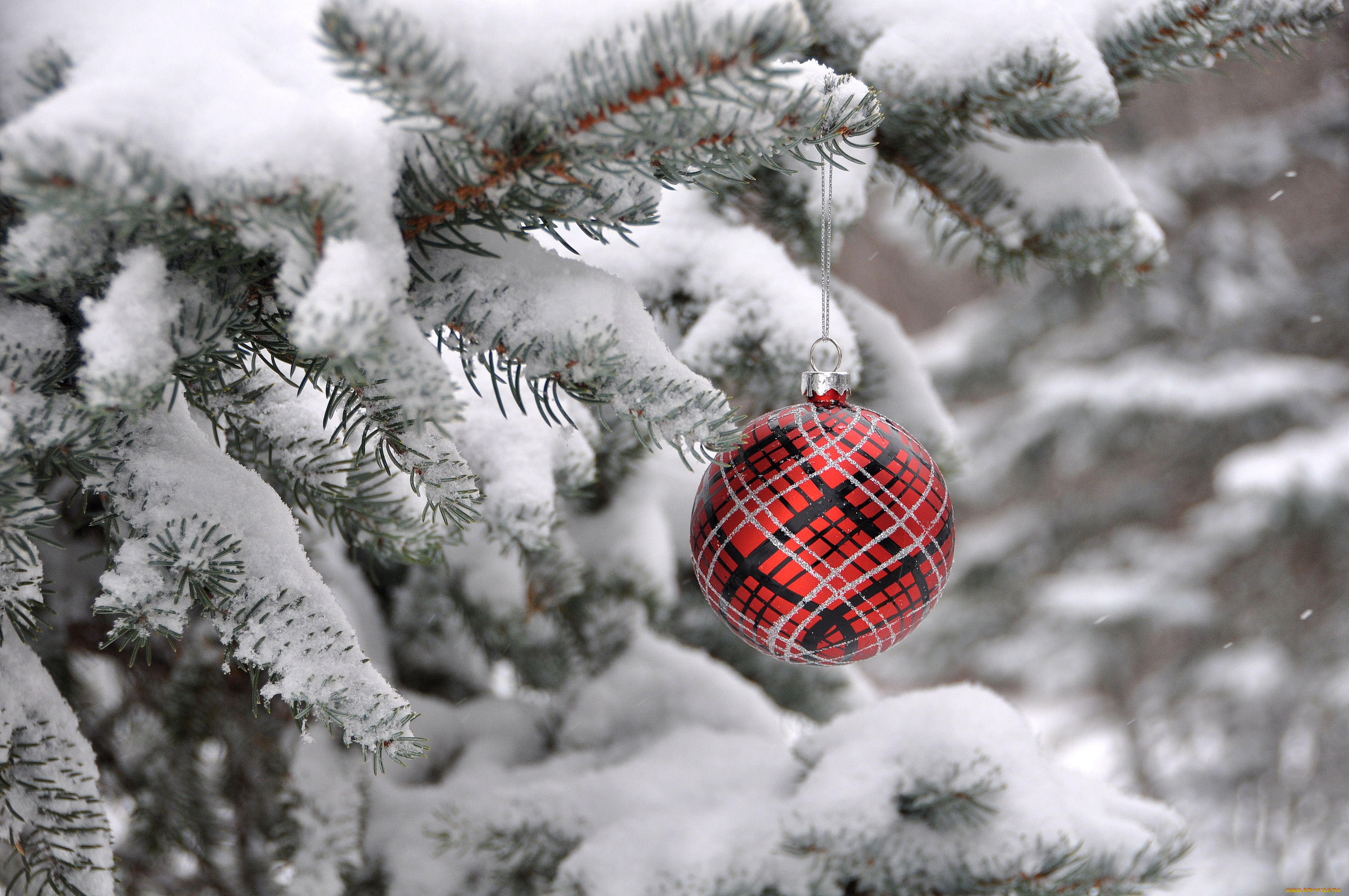 праздничные, шарики, инрушка, шарик, ветка, снег, зима