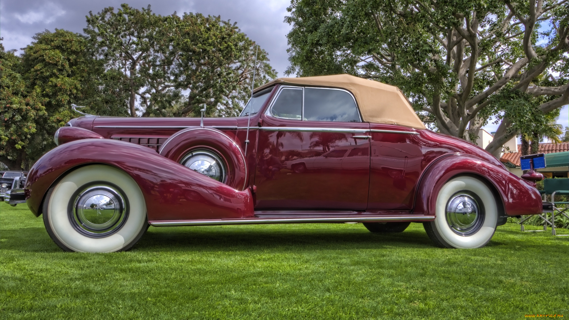 1936, cadillac, model, 8067, v12, convertible, coupe, автомобили, выставки, и, уличные, фото, автошоу, выставка