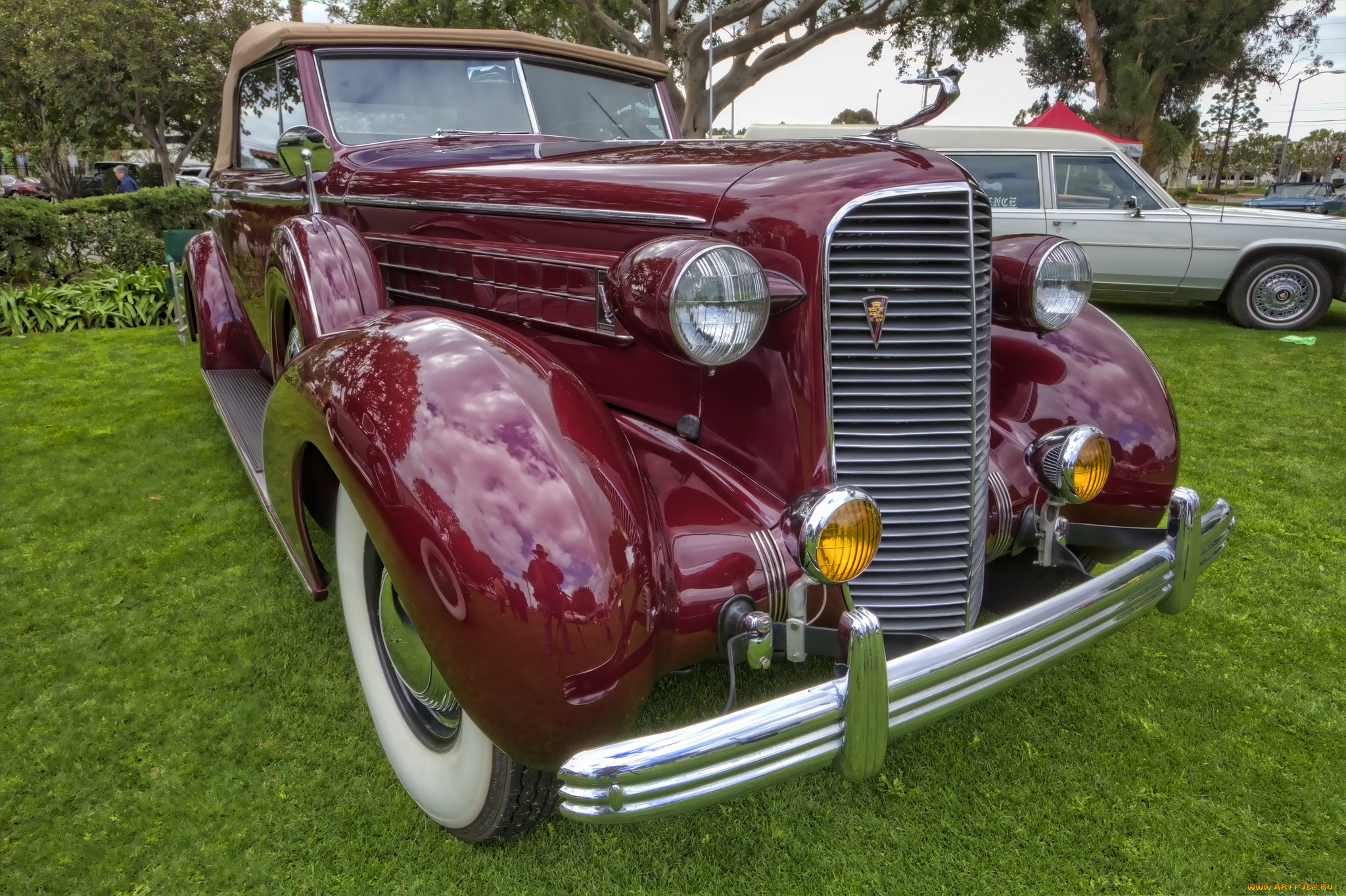 1936, cadillac, model, 8067, v12, convertible, coupe, автомобили, выставки, и, уличные, фото, автошоу, выставка