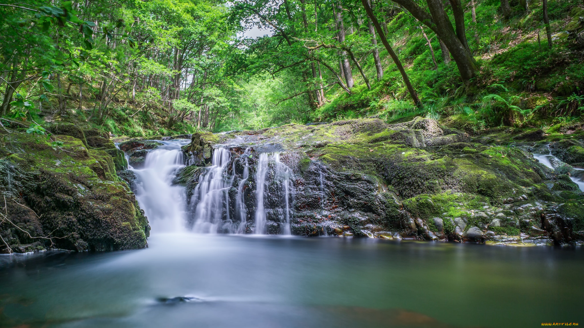 природа, водопады, водопад, река, лес