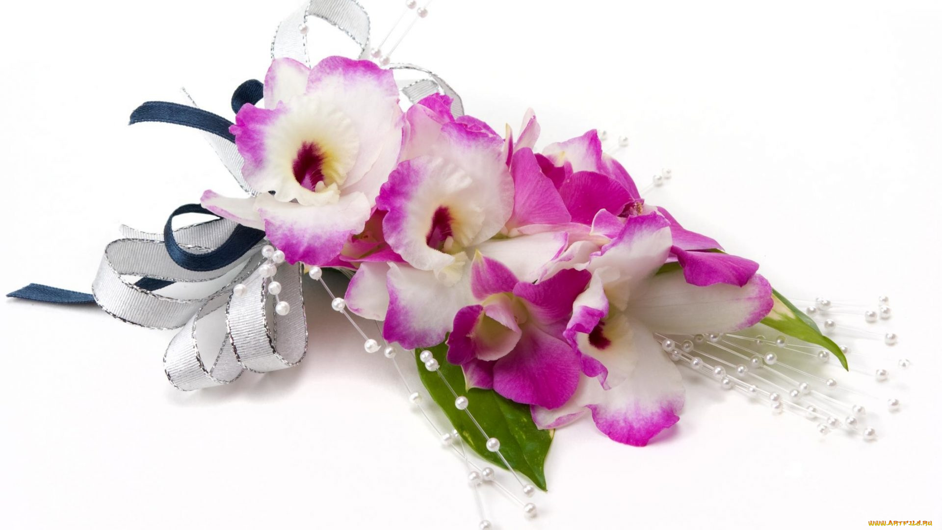 цветы, орхидеи, букет