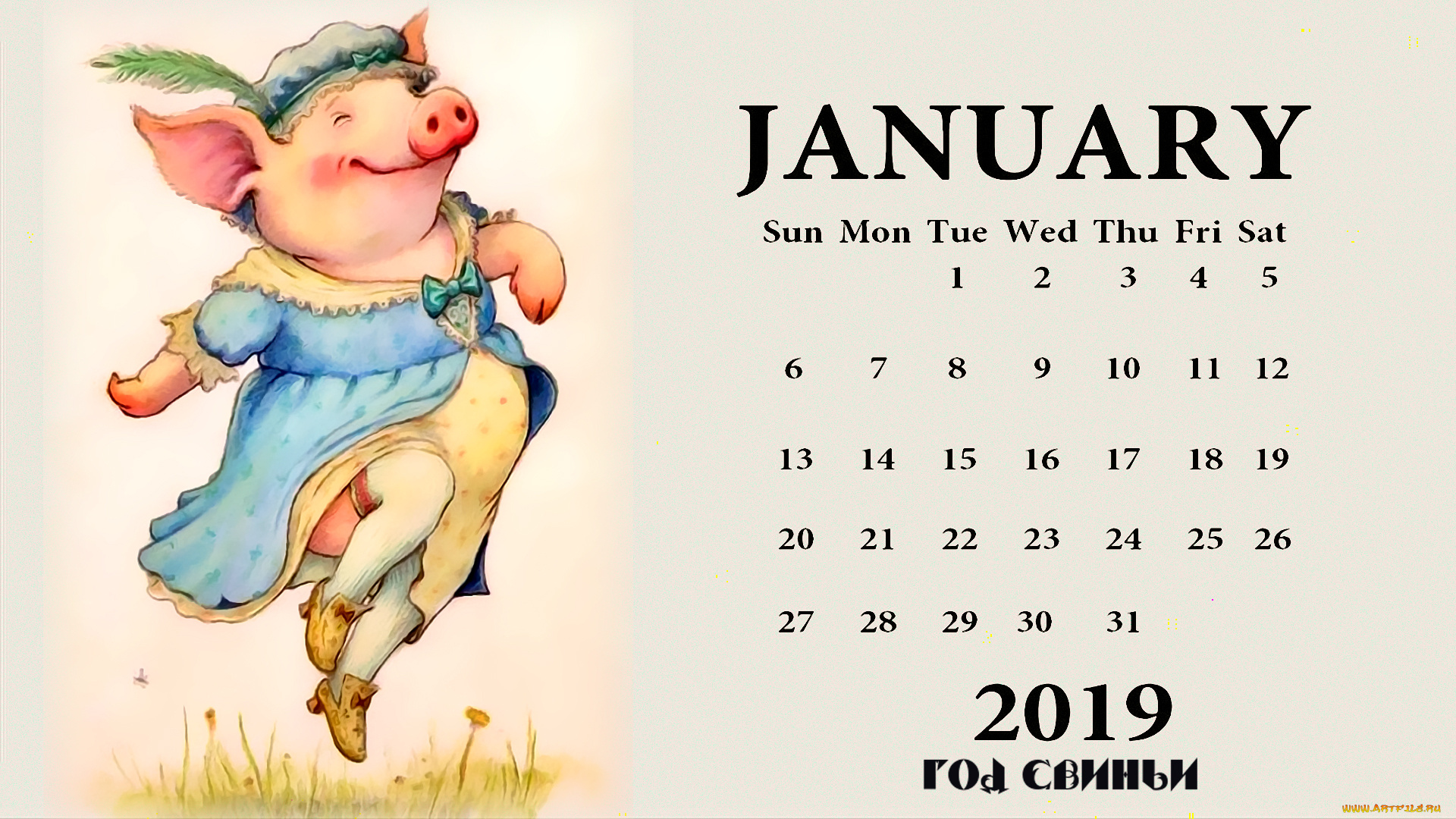 календари, праздники, , салюты, свинья, поросенок, платье