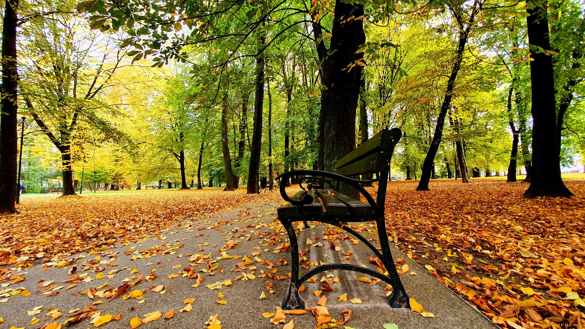 природа, парк, аллея, скамейка, осень, листопад, листья